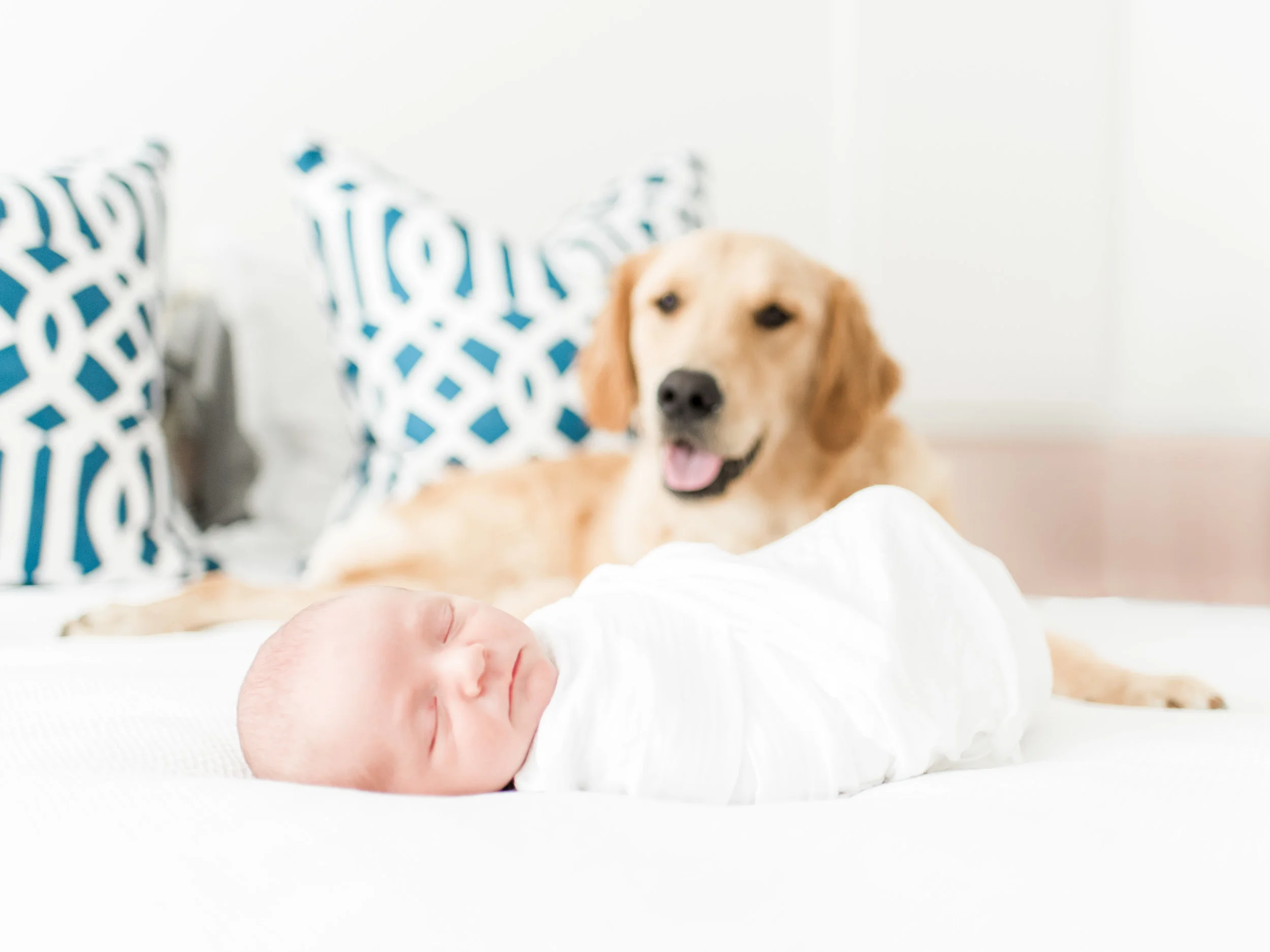FAVORITES_Bramhall_MarkieWaldenPhotography-2.jpg