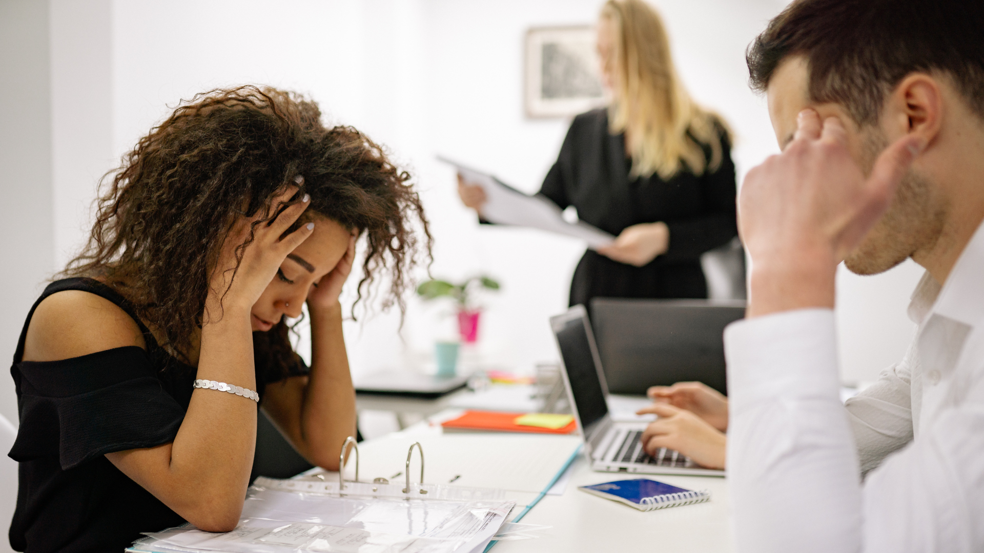 The brain’s response to stress and procrastination