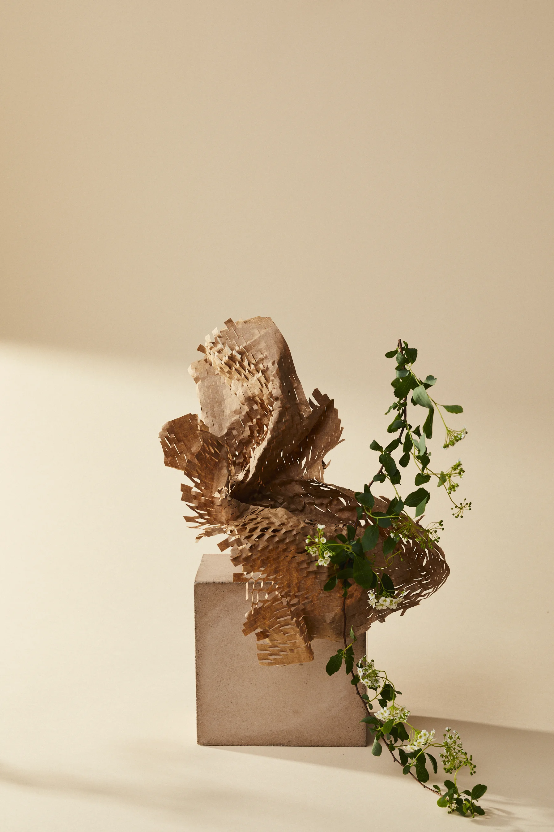 Vignettes_0657.jpg