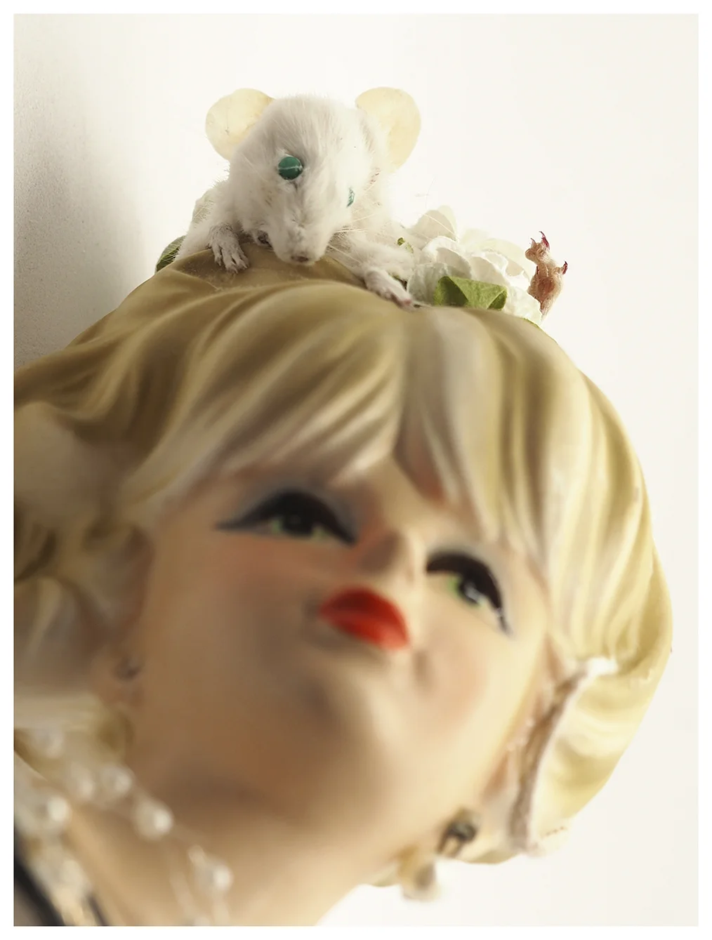 52_Head-of-Pretty-Lady-C_Photo_Lill-Ann Chepstow-Lusty_2019.jpg