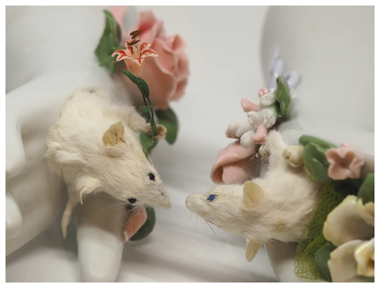 41_Mice-on-Hand_Photo_Lill-Ann Chepstow-Lusty_2019.jpg