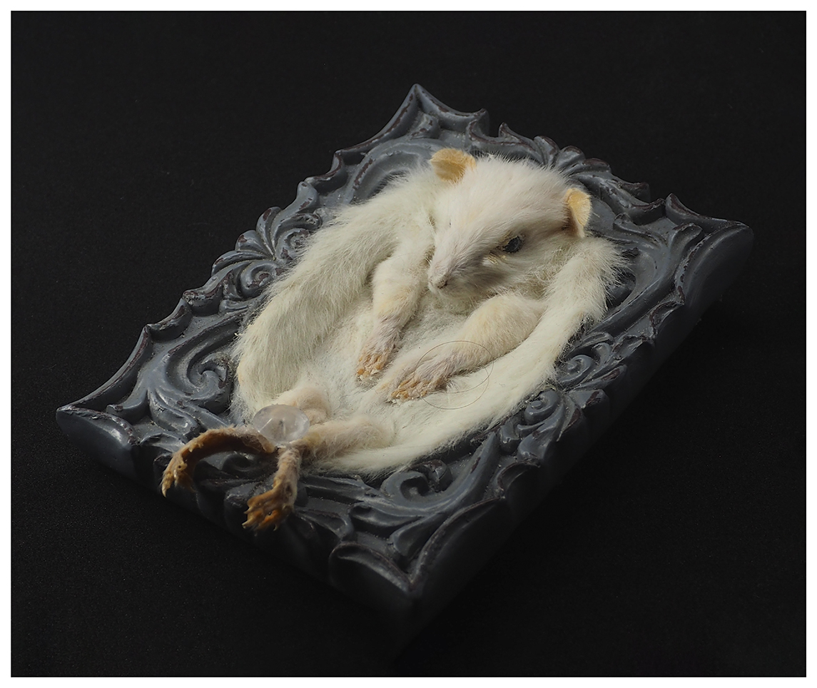 07_Dish-Mouse_Photo_Lill-Ann Chepstow-Lusty_2019.jpg