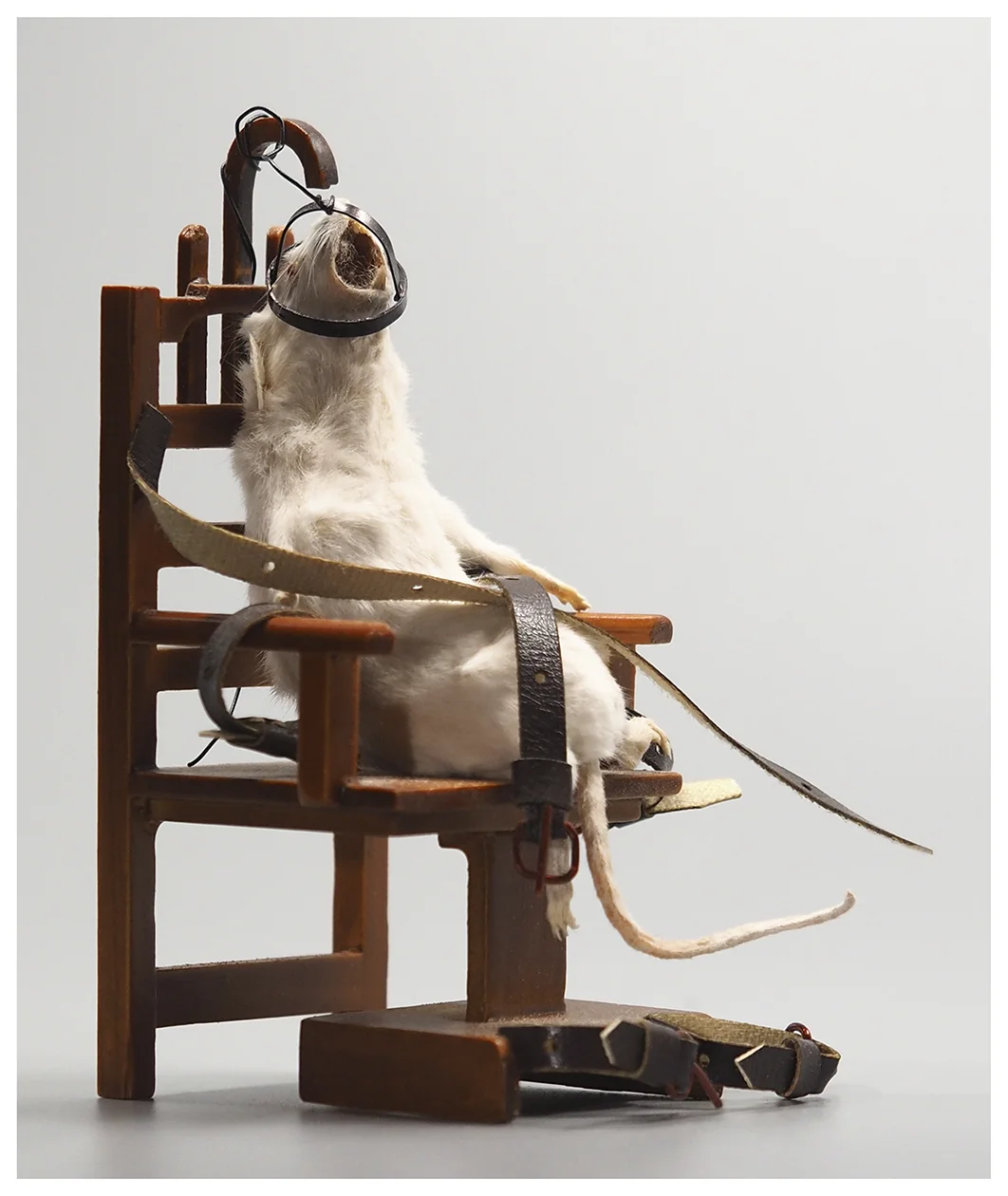 68-MouseOnDeathRow_Photo_Lill-Ann Chepstow-Lusty_2019.jpg
