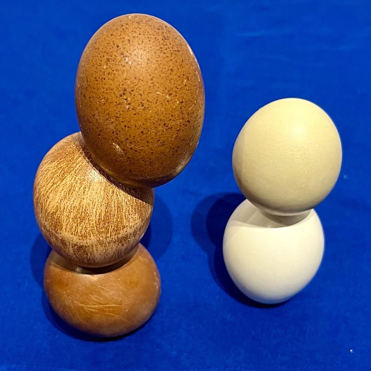 Egg-2.jpg