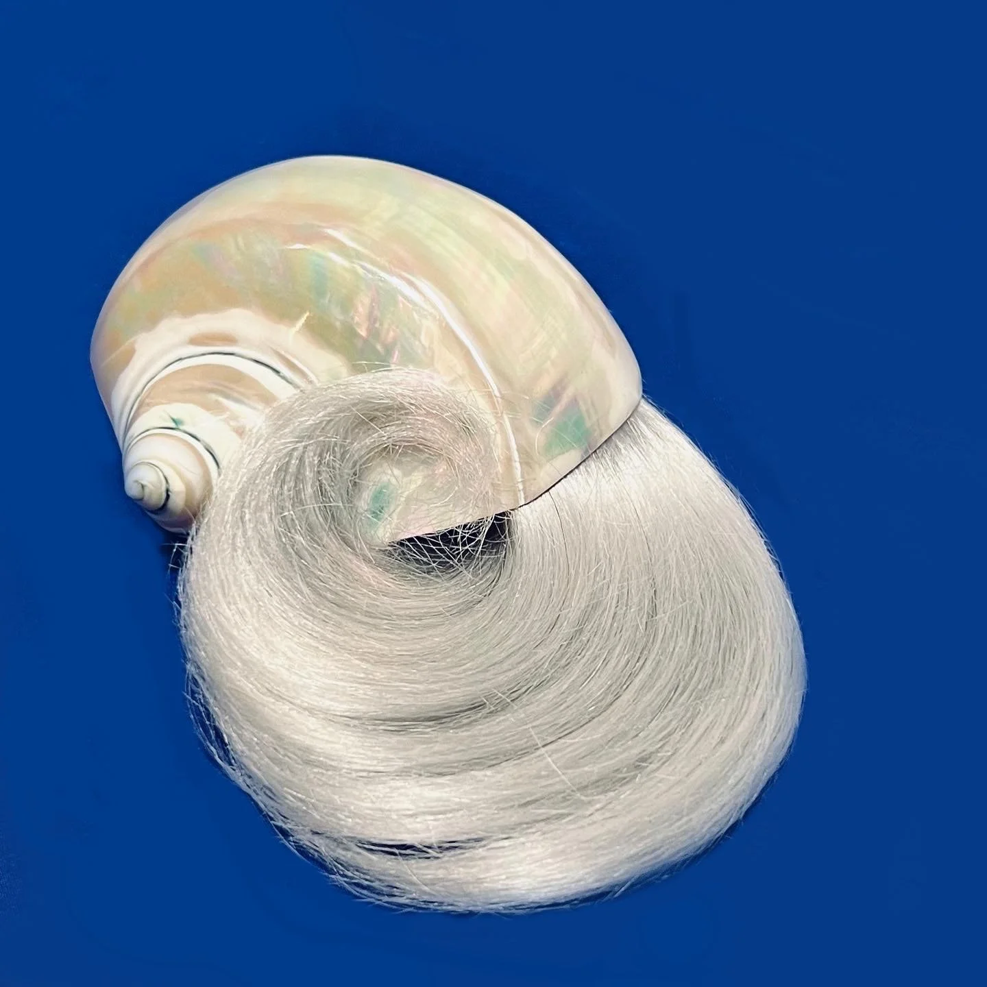MoP-1.jpg