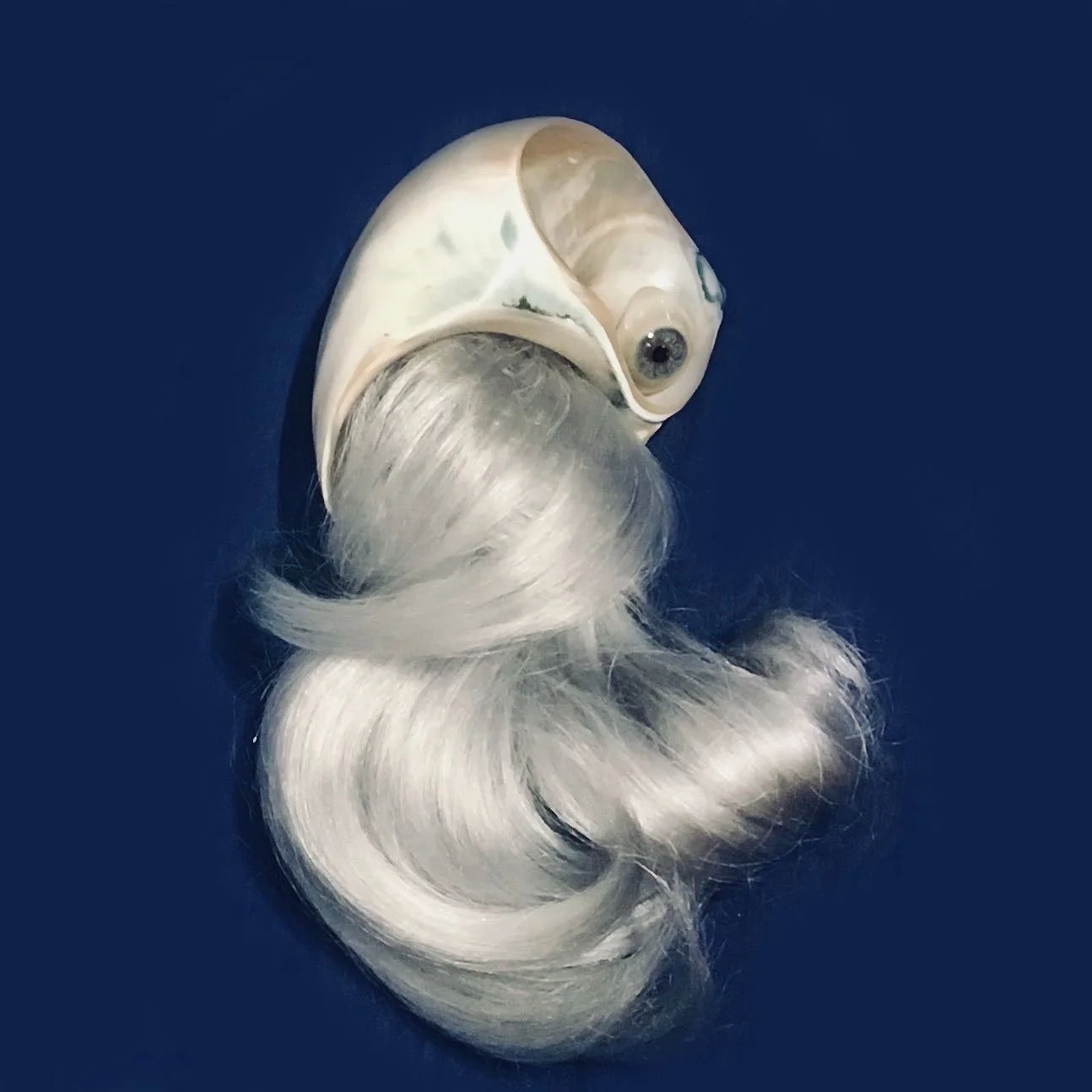MoP-3.jpg
