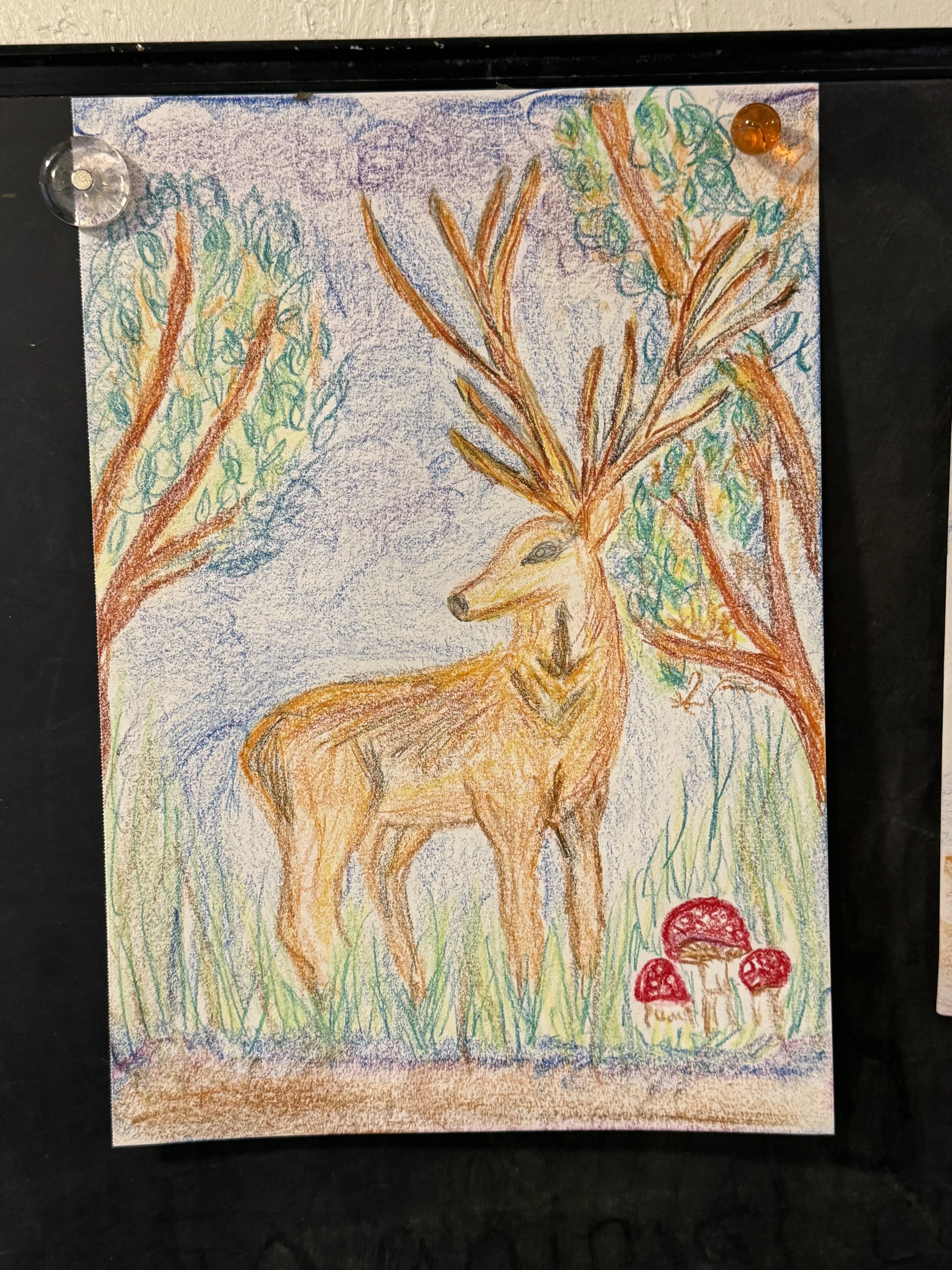  Rising Sisters: Animal Guides