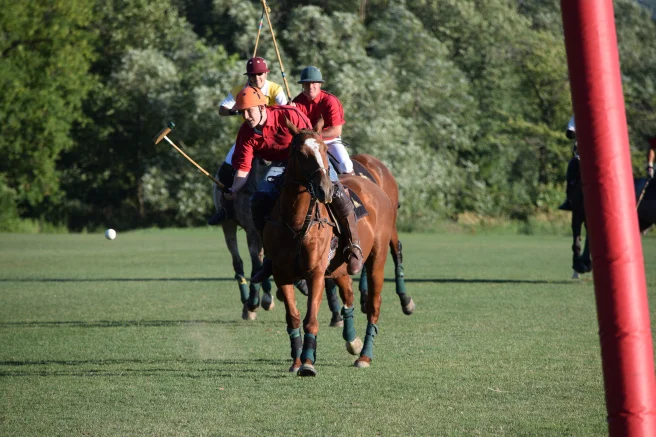 The 10 Best Things about Playing the ‘Game of Kings’ (aka Polo)