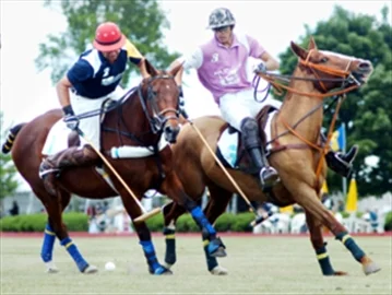 On top of game during horse play