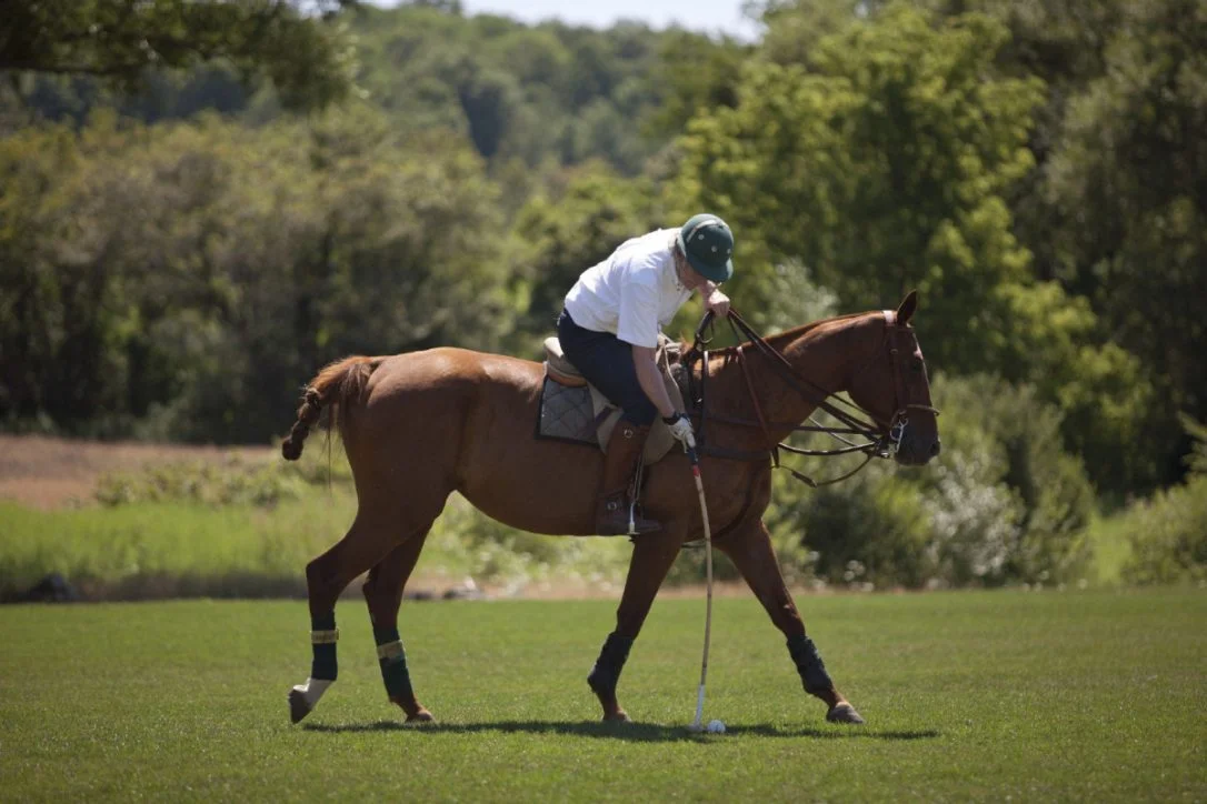 Star reporter takes a lesson in the rough and tumble world of polo: Summer School