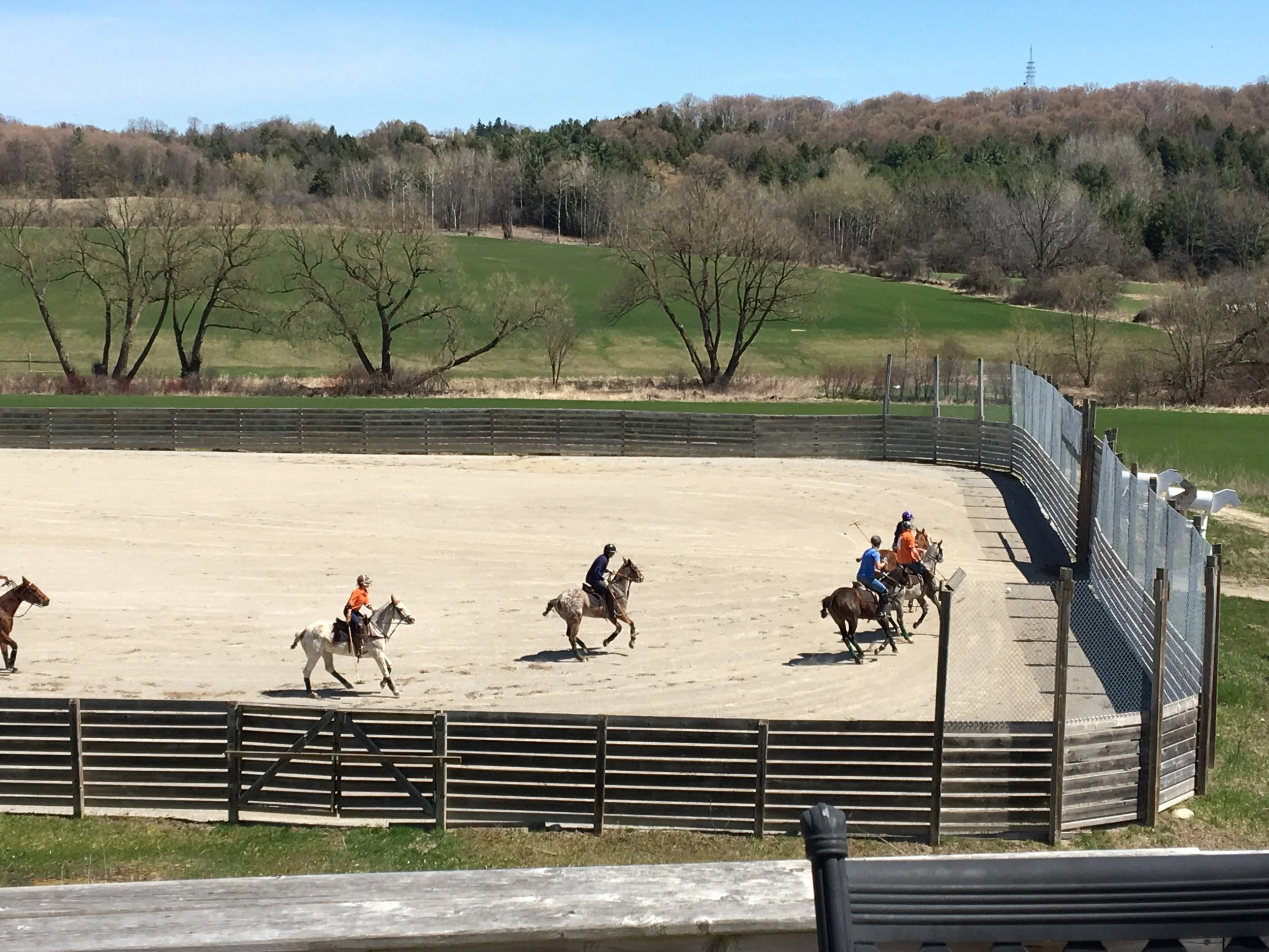 Outdoor Arena Polo Season Kicks off at Bancroft Farm