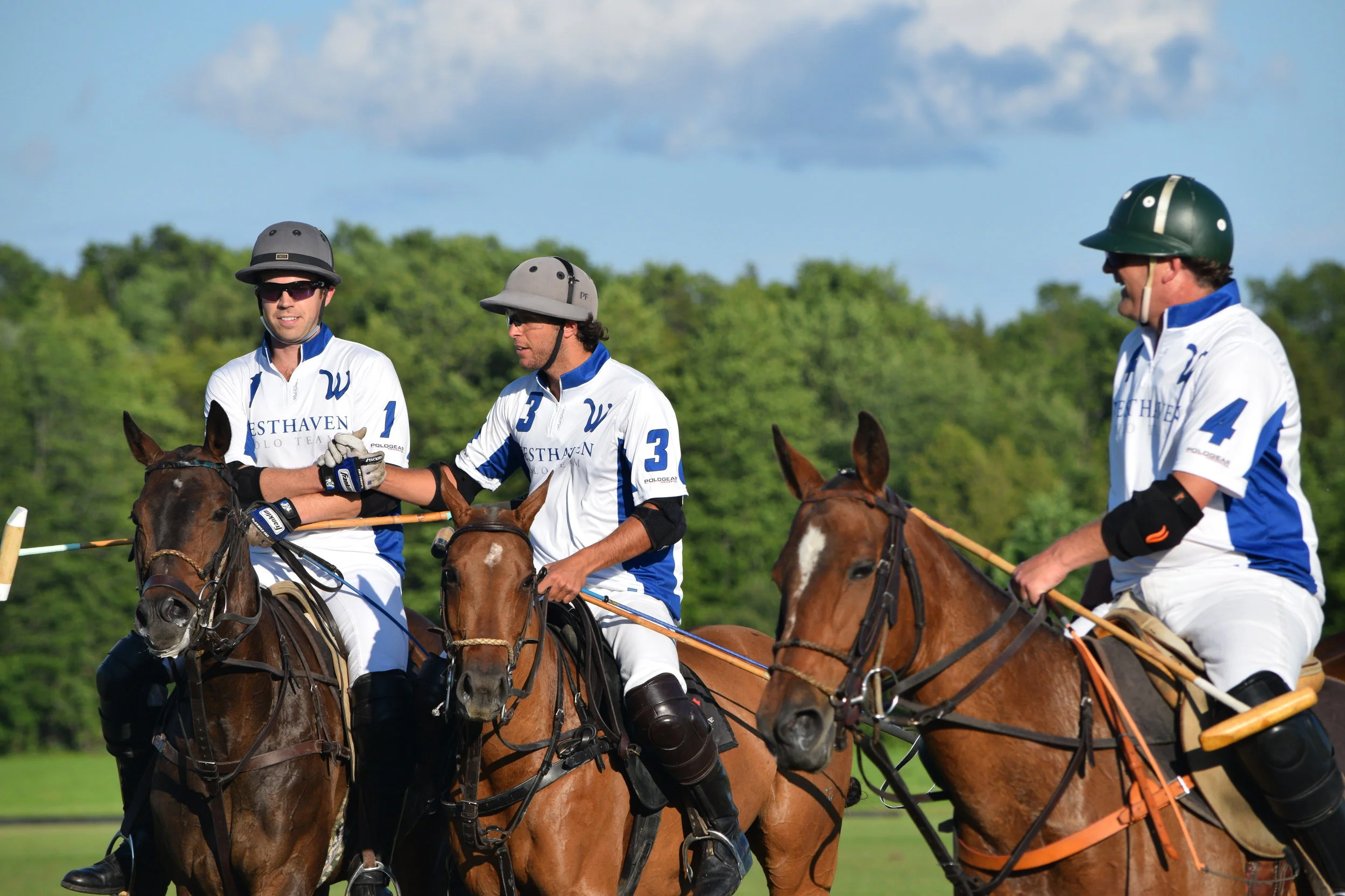 The Best Reasons Why Now is a Good Time to Learn to Play Polo