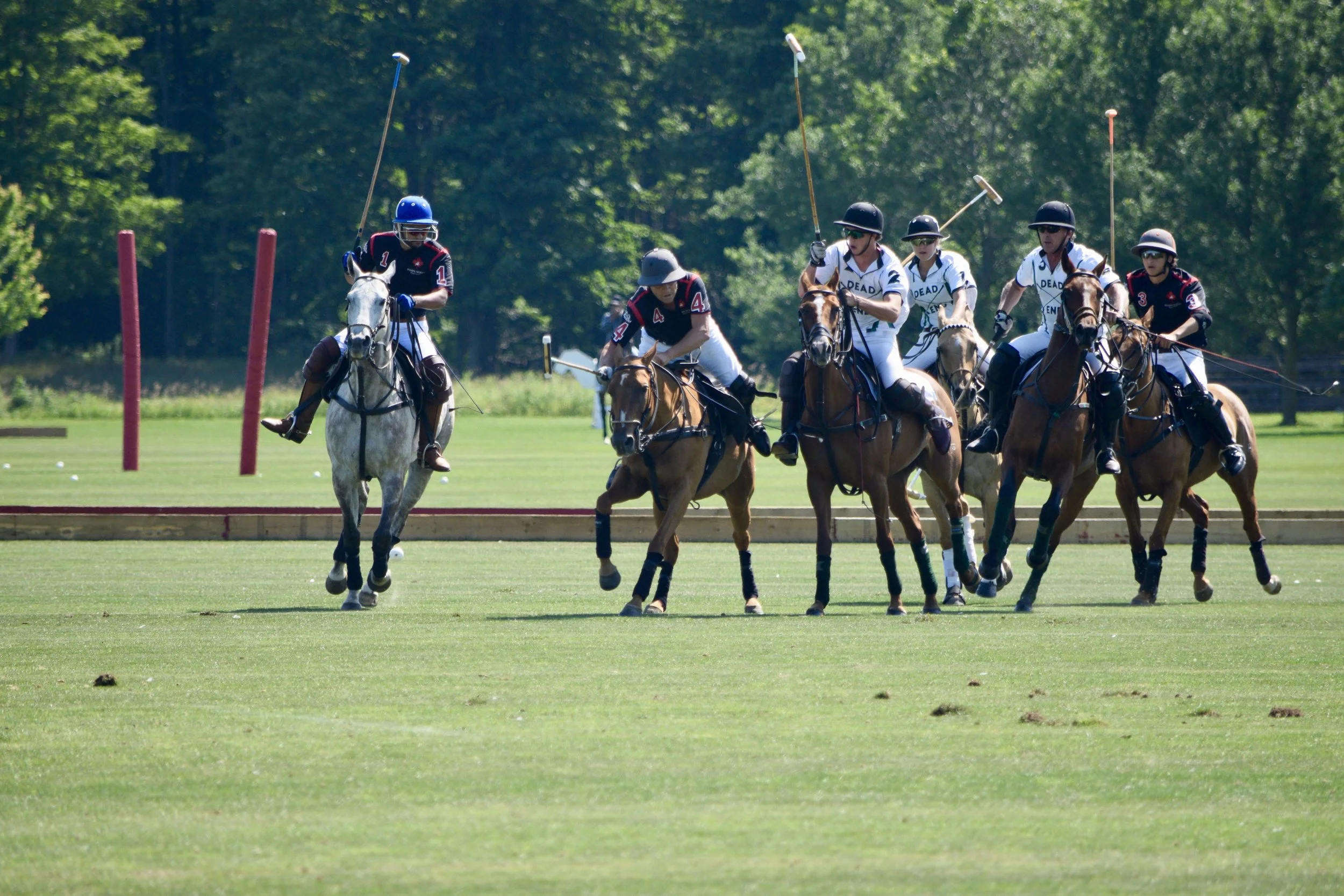 The Top Ten Reactions and Questions you get when you tell people you Play Polo