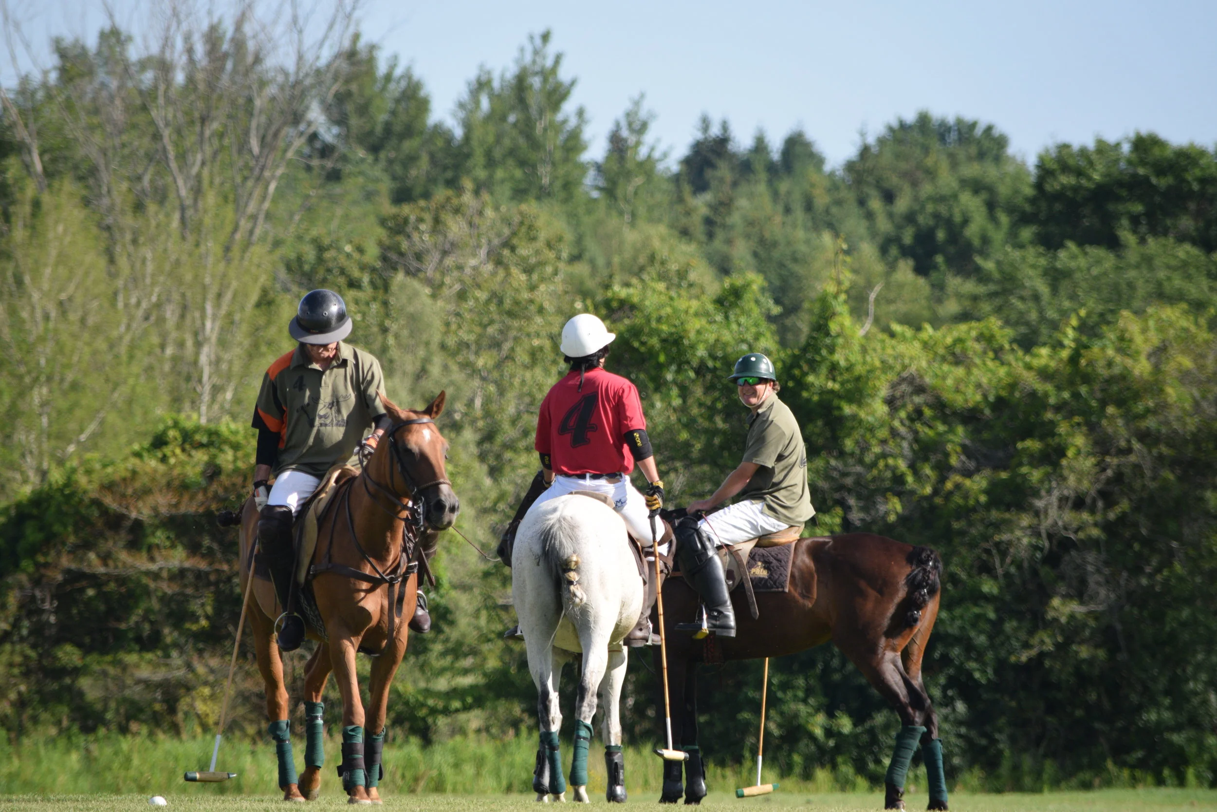 The Top Ten Best Polo YouTube Videos 