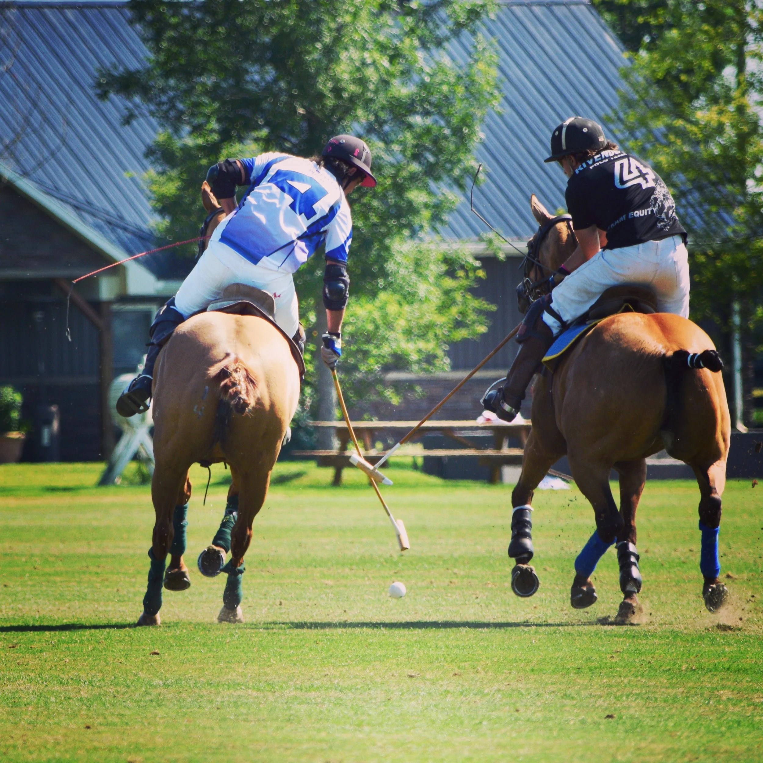 The Nine Stages of Getting Hooked on Polo
