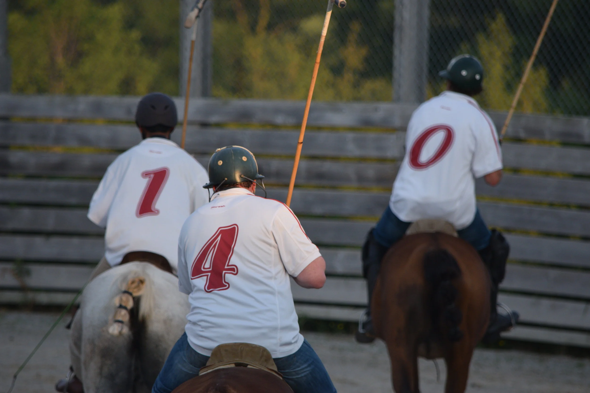 Polo in the Off-Season