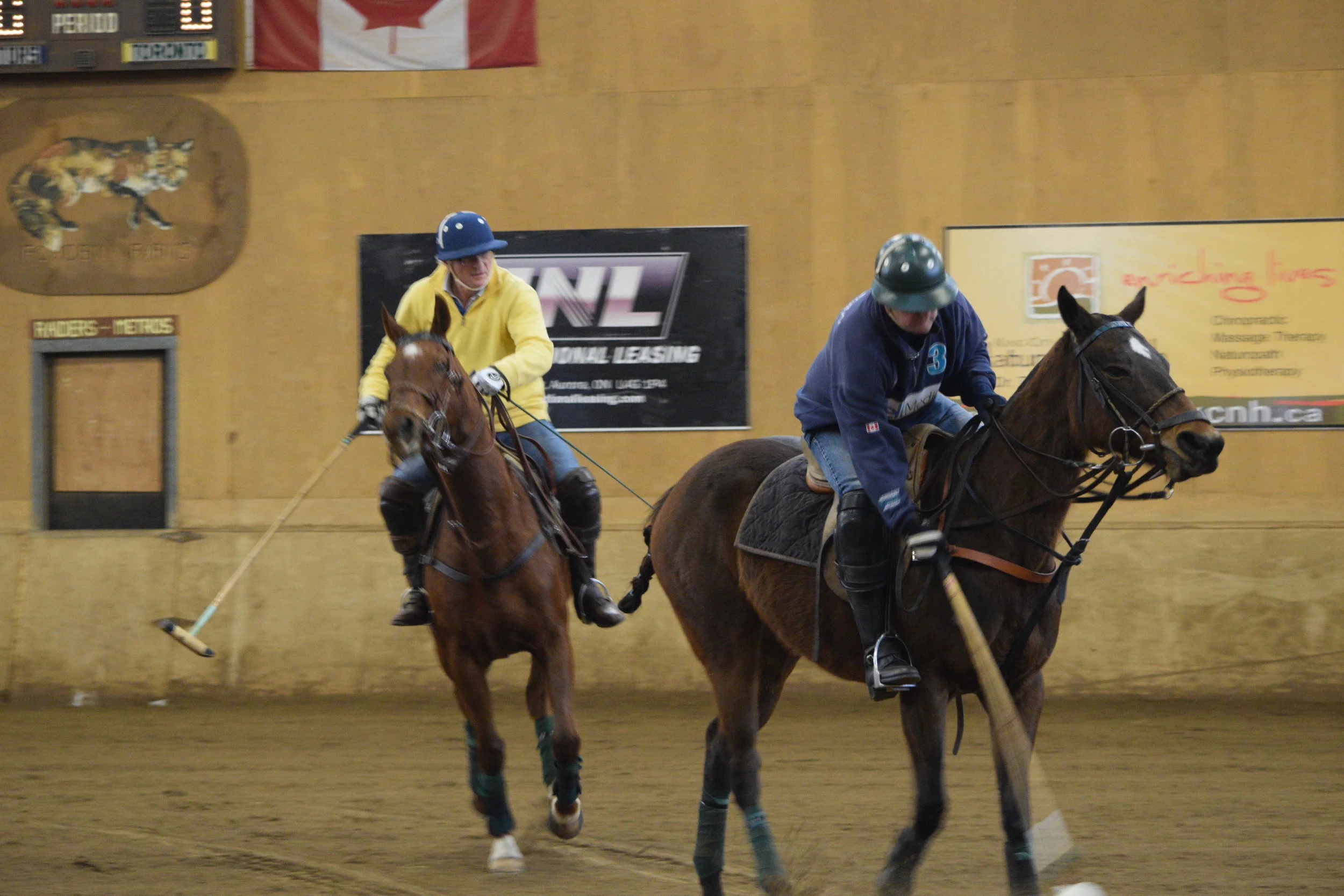 The Advantages of Playing Arena Polo in the Winter