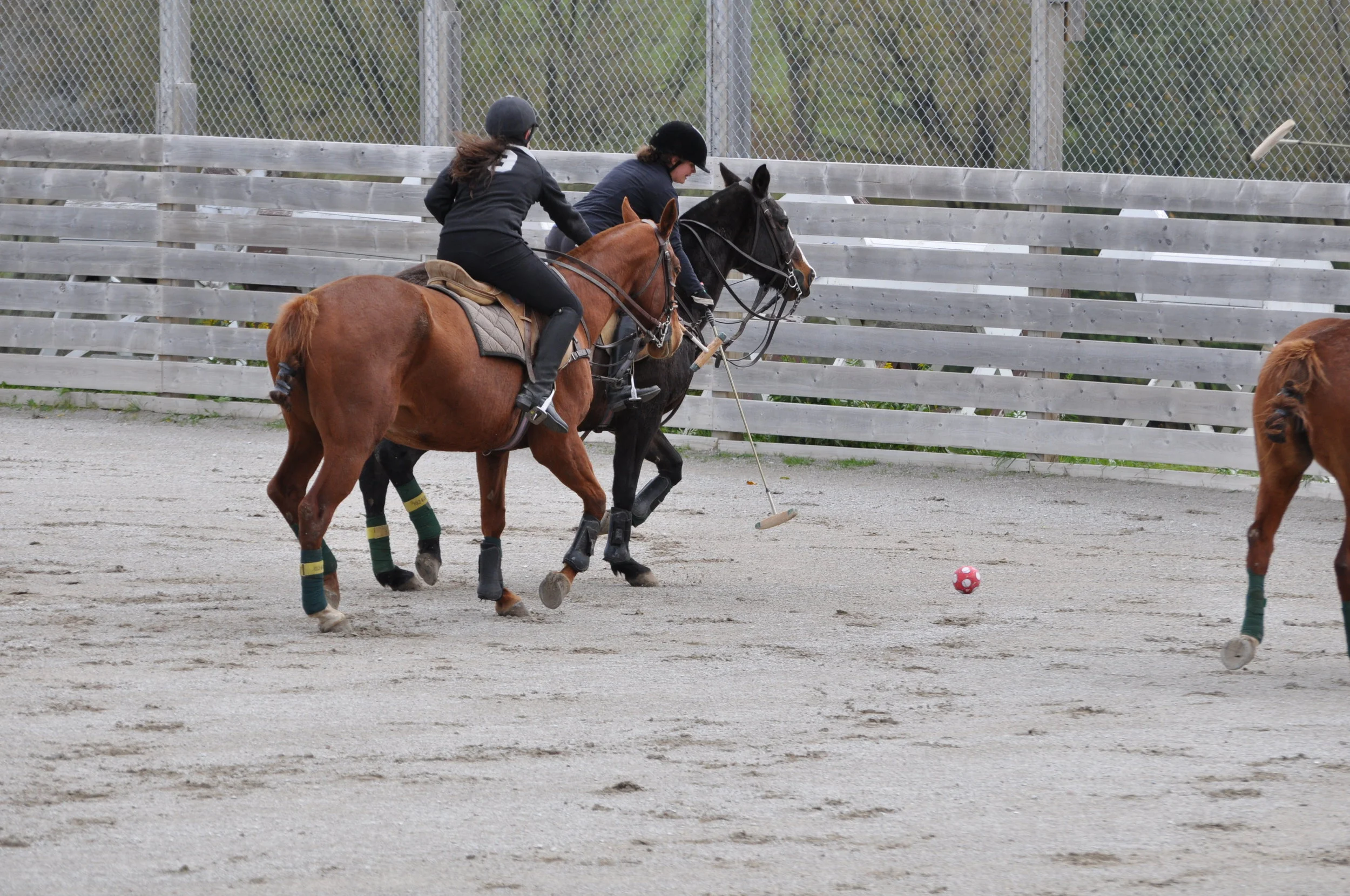 Learn to Play Polo Clinic