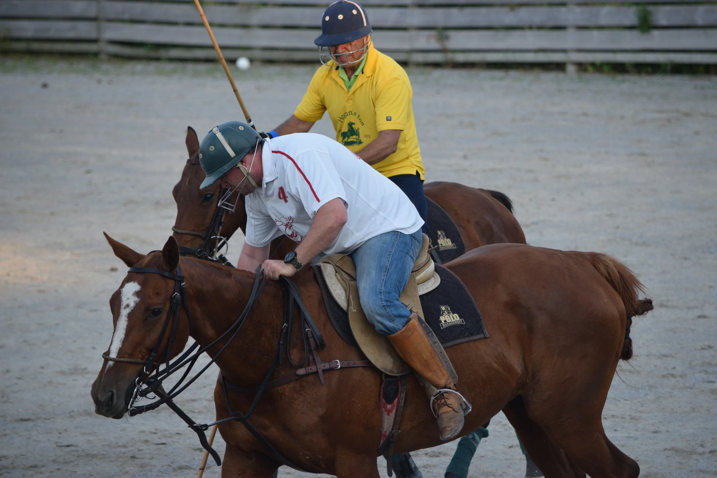 Semi-Private Polo Lesson