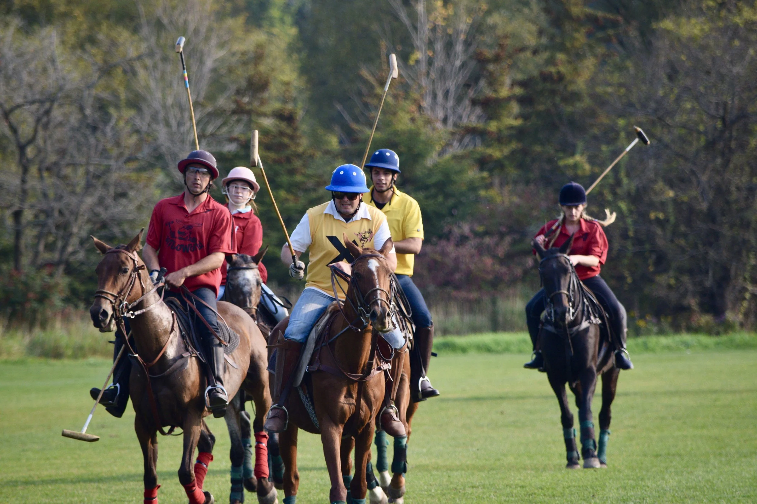 How to Get Ready for the 2019 Summer Polo Season