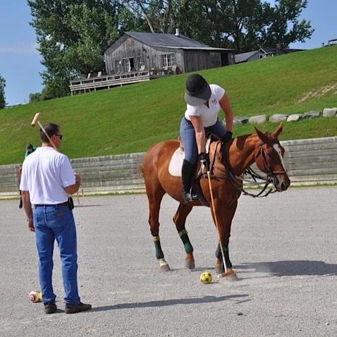 Learn to Play Polo Clinic