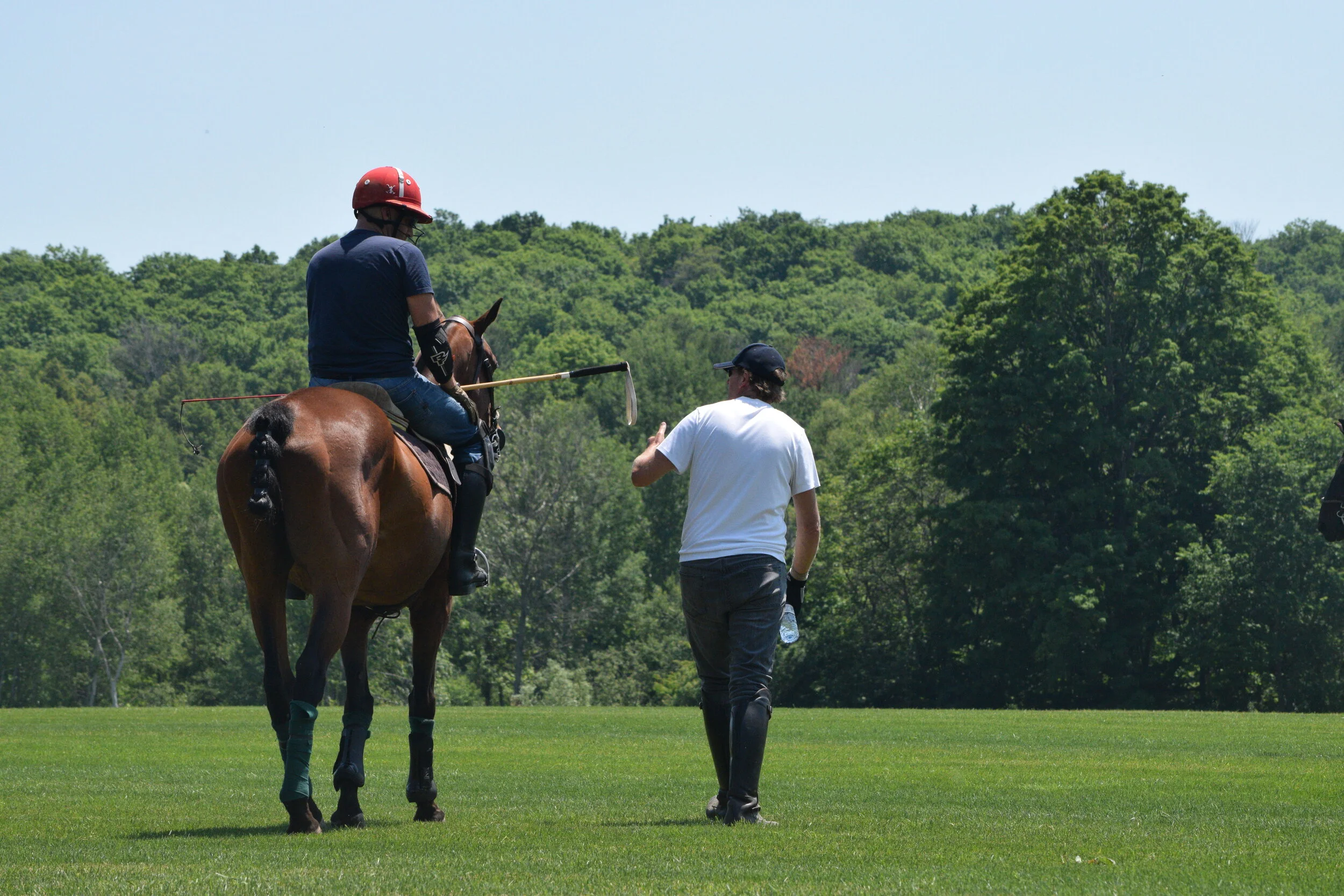Private Polo Lesson