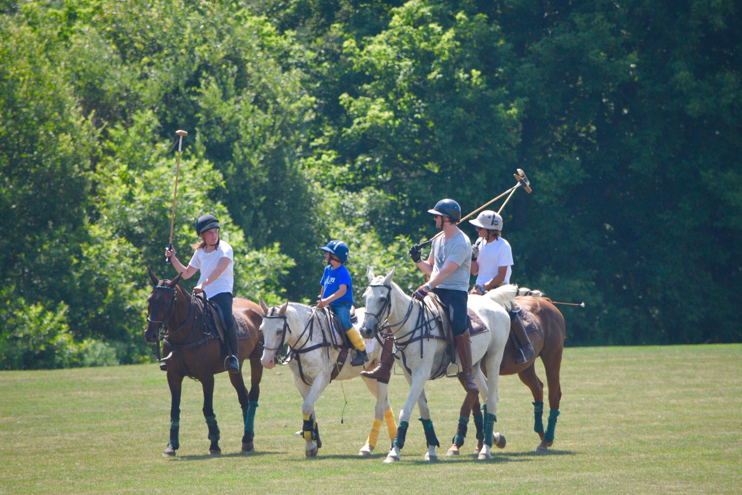 DSC_0167.jpg