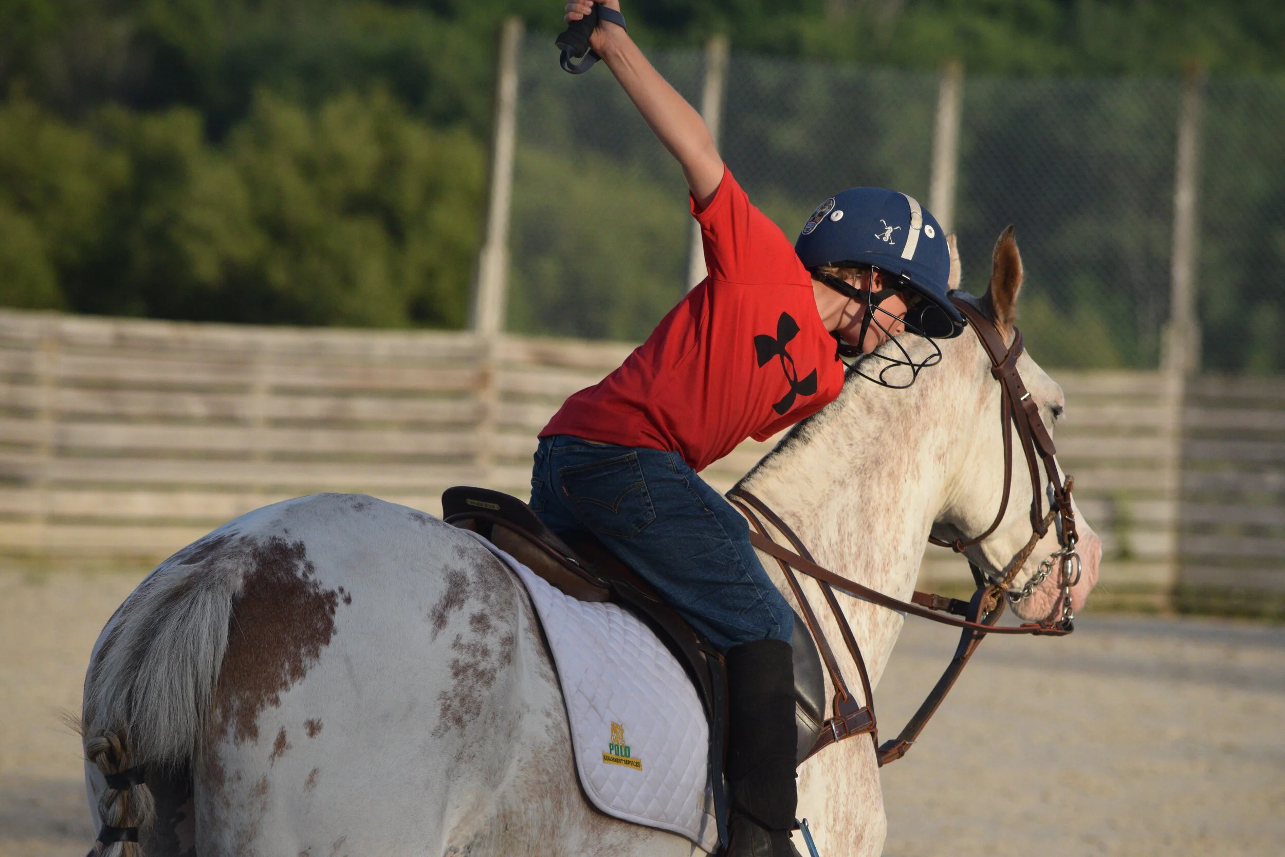 PeeWee Polo League