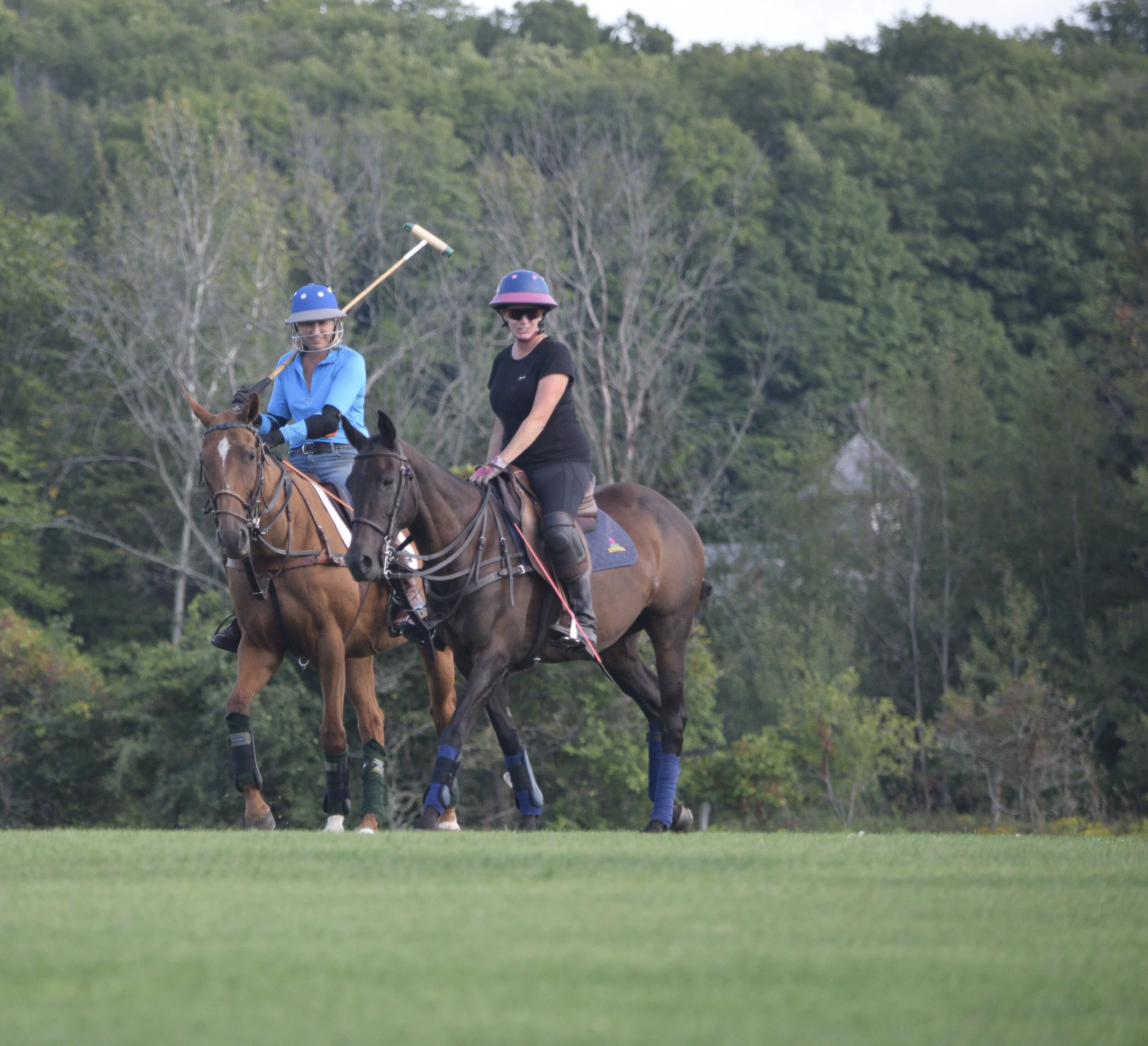 Learn to Play Polo Clinic