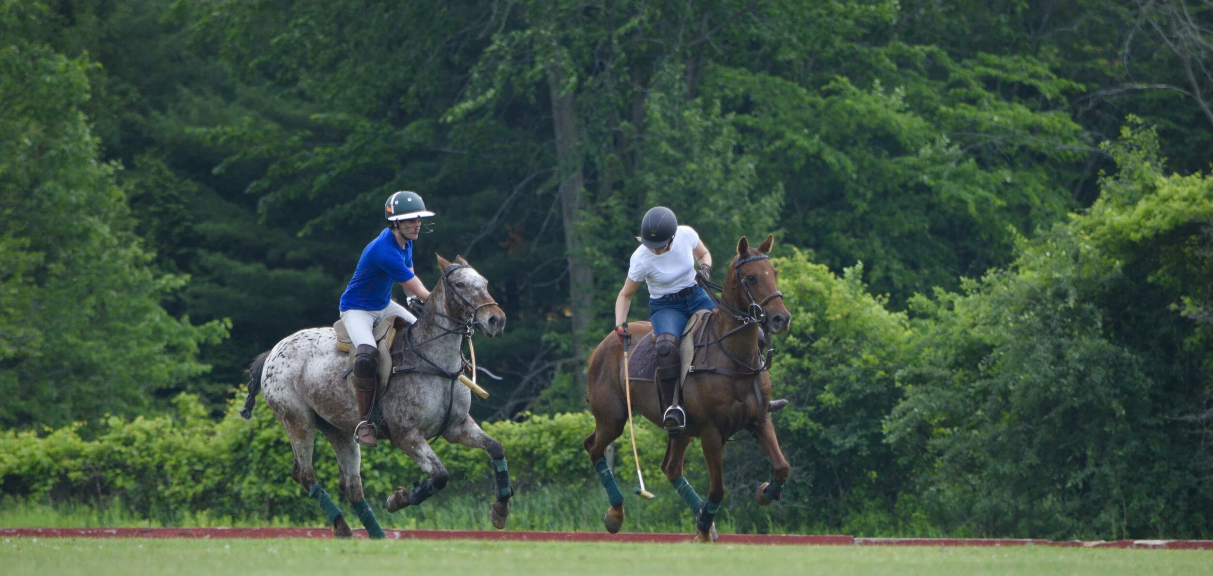 Learn to Play Polo Clinic