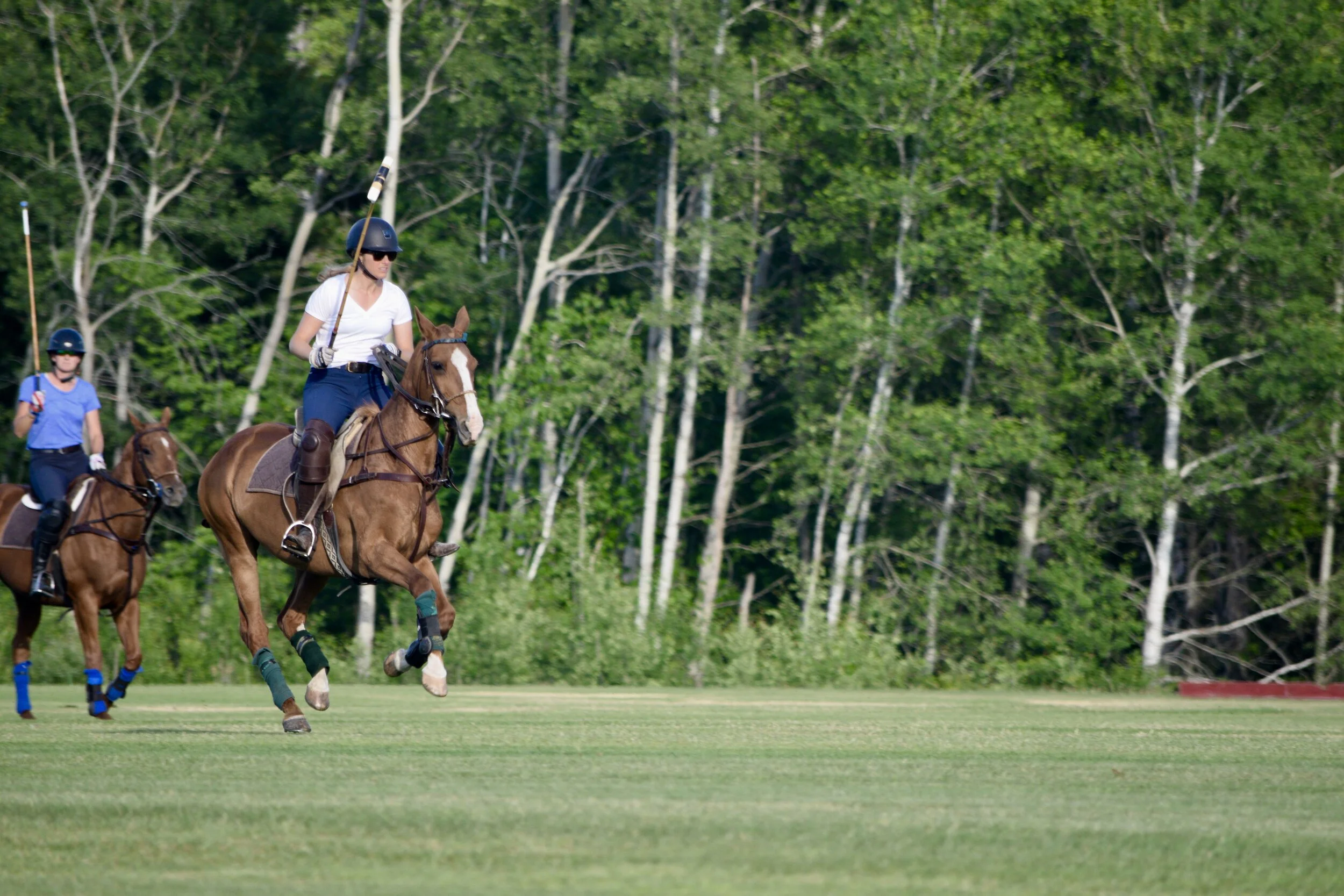 Learn to Play Polo Clinic