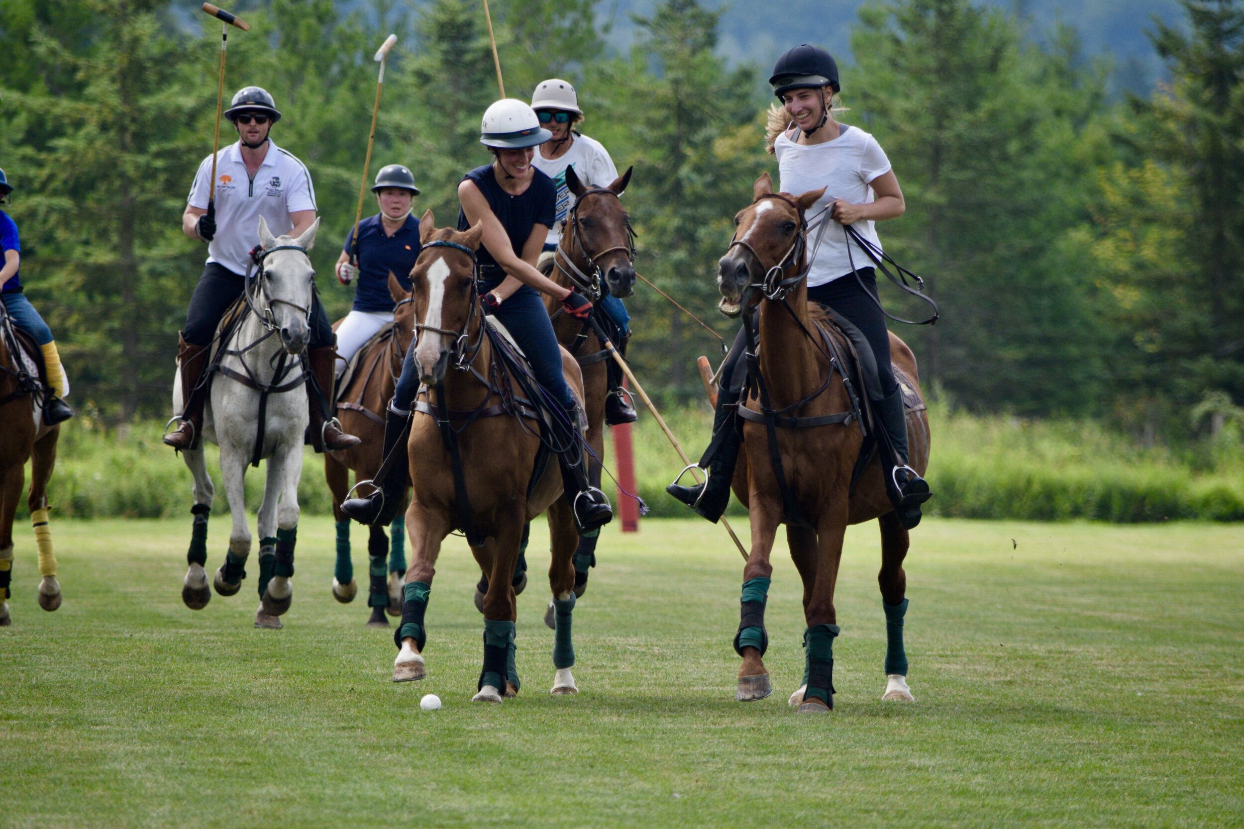 Learn to Play Polo Clinic 