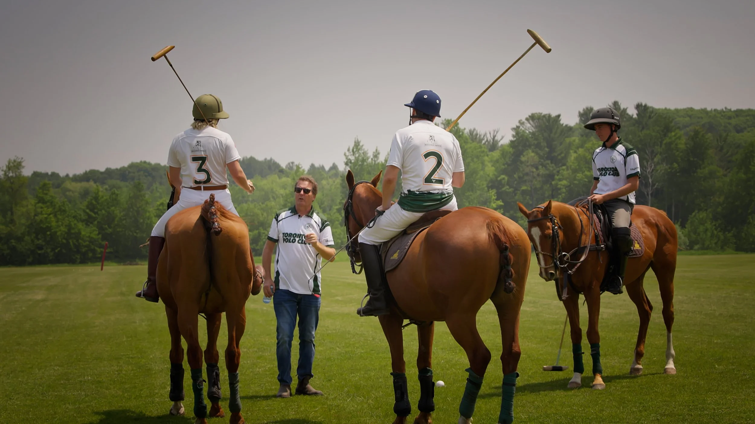 Learn to Play Polo Package