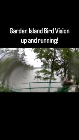 Slide 14
