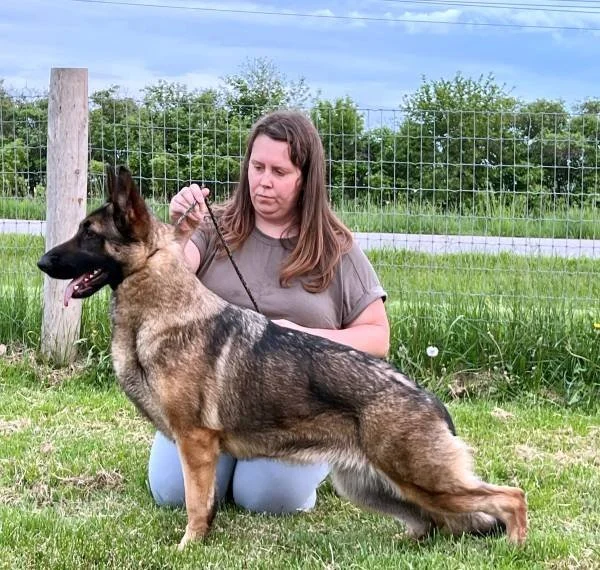 Chagre's Wind In The Willows OFA H/E, DM Carrier