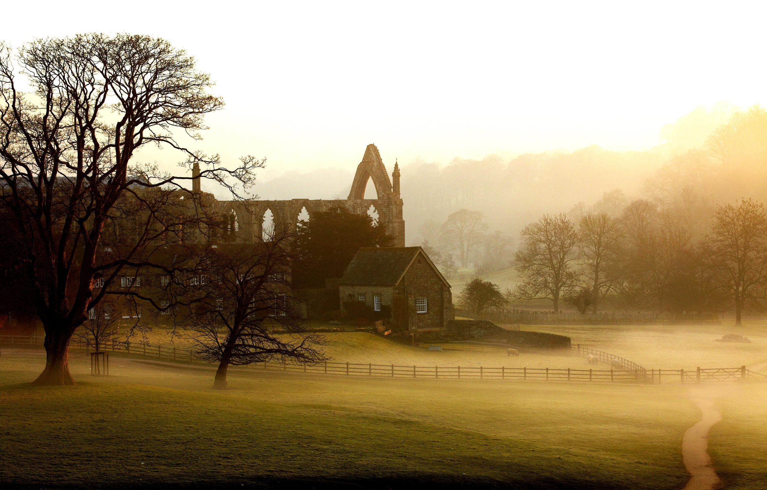 Bolton Abbey, Yorkshire