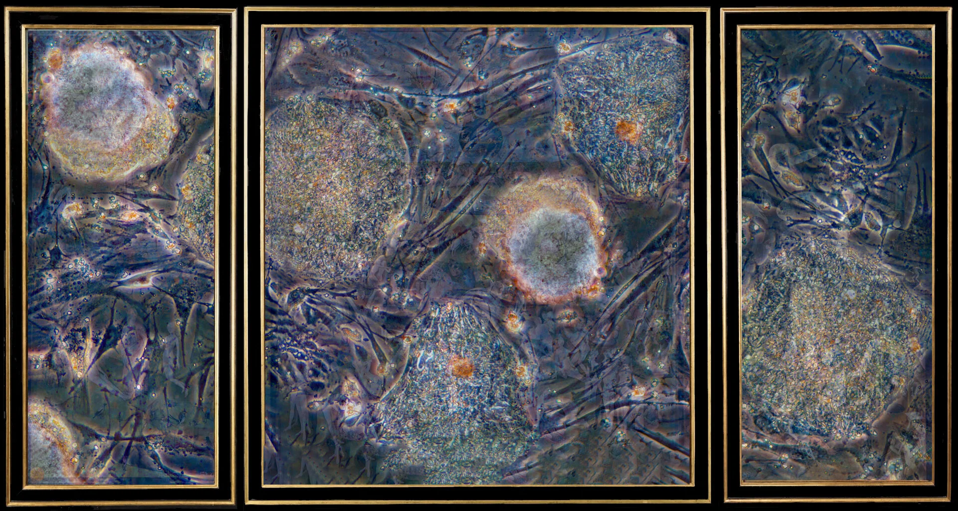 Garden of Delight II - a.k.a Human embryonic stem cells, Mixed Media on Birch Wood panels