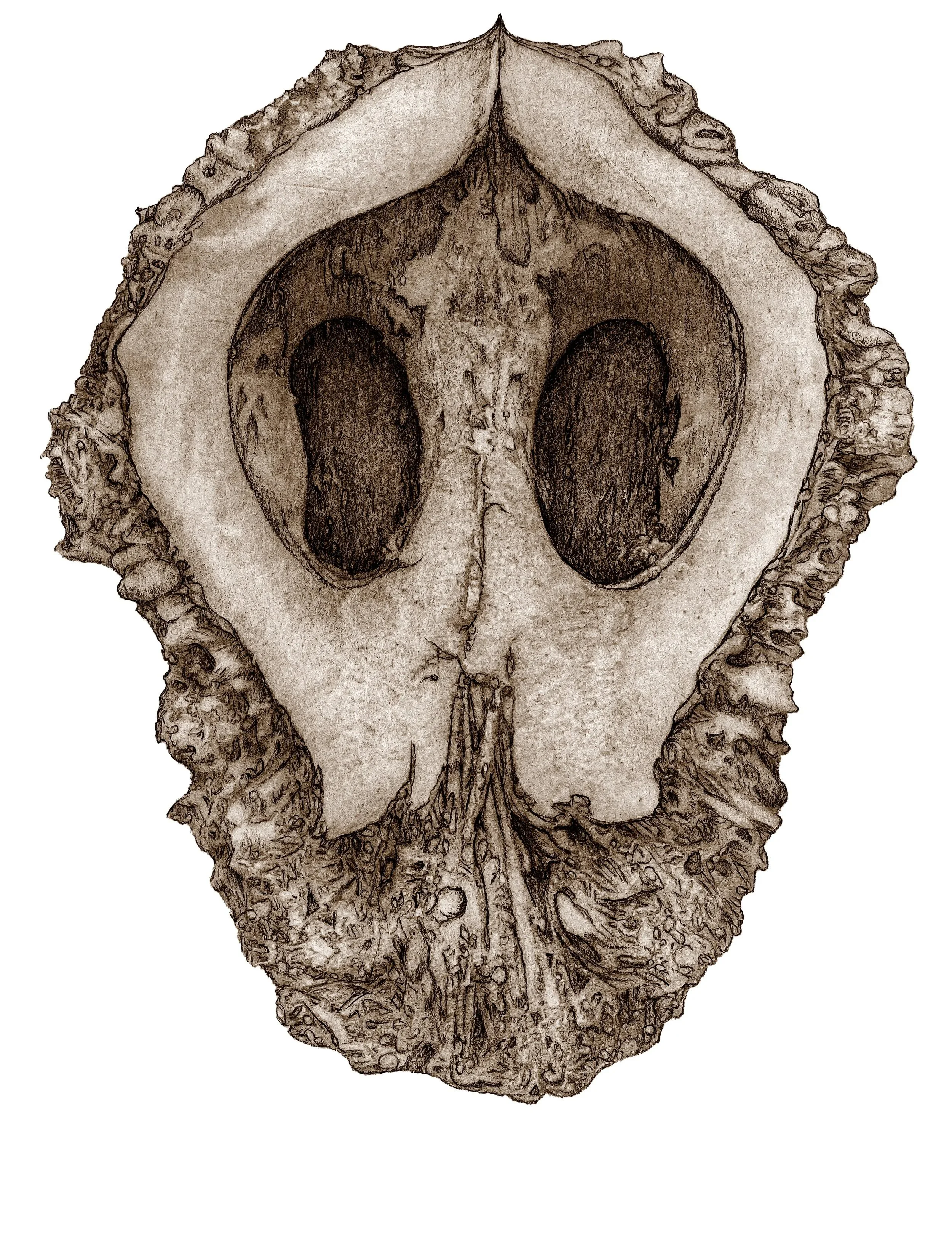 Specimen 4
