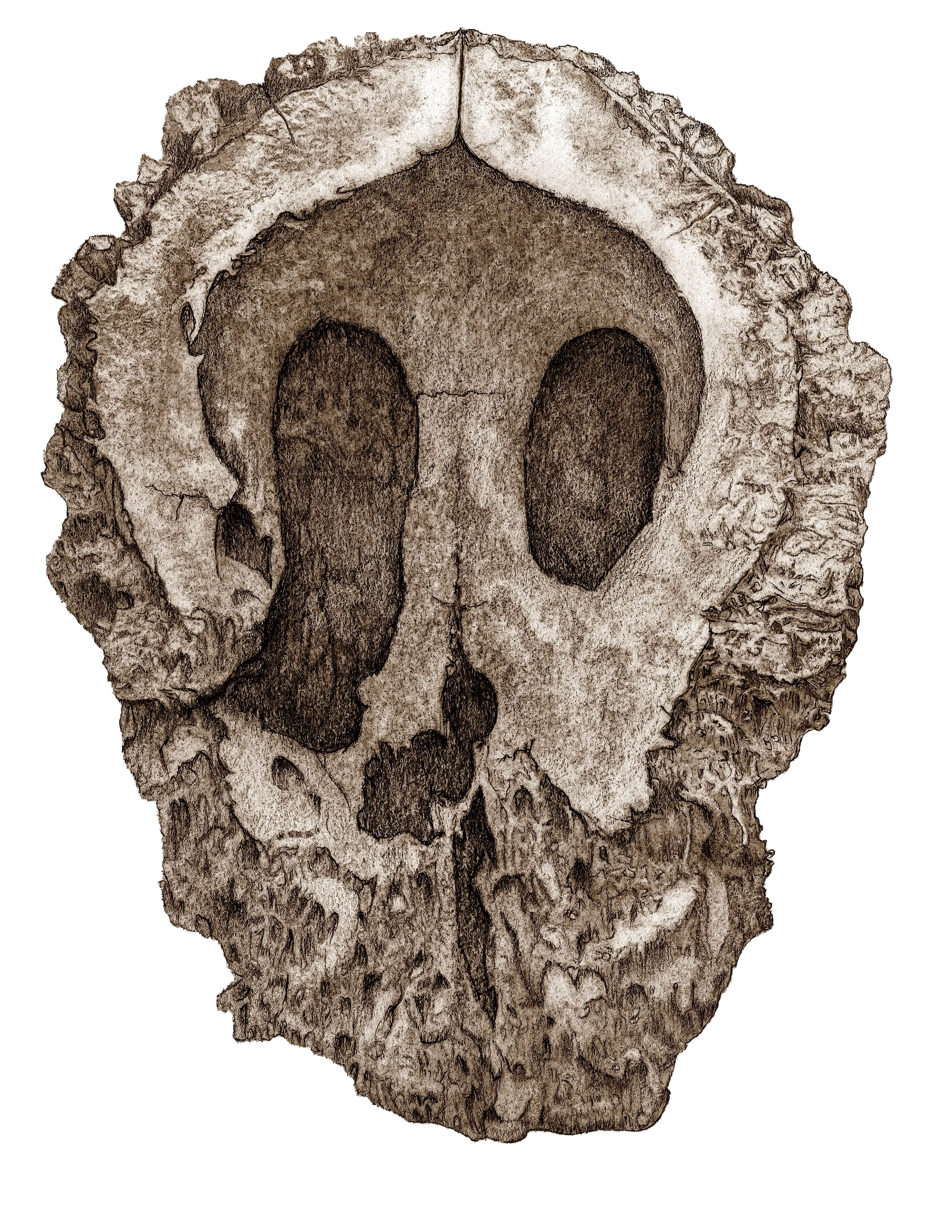 Specimen 7