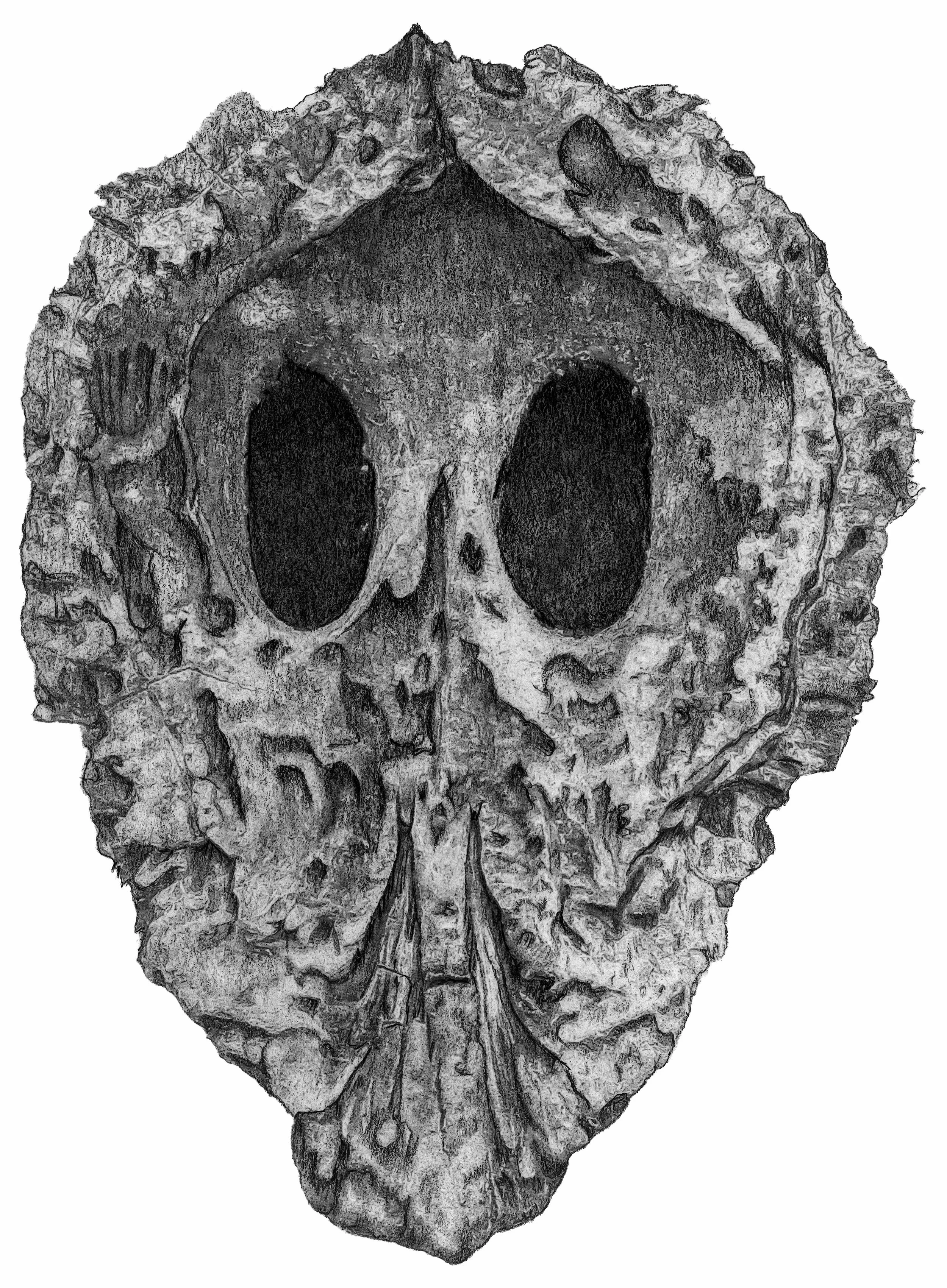 Specimen 3