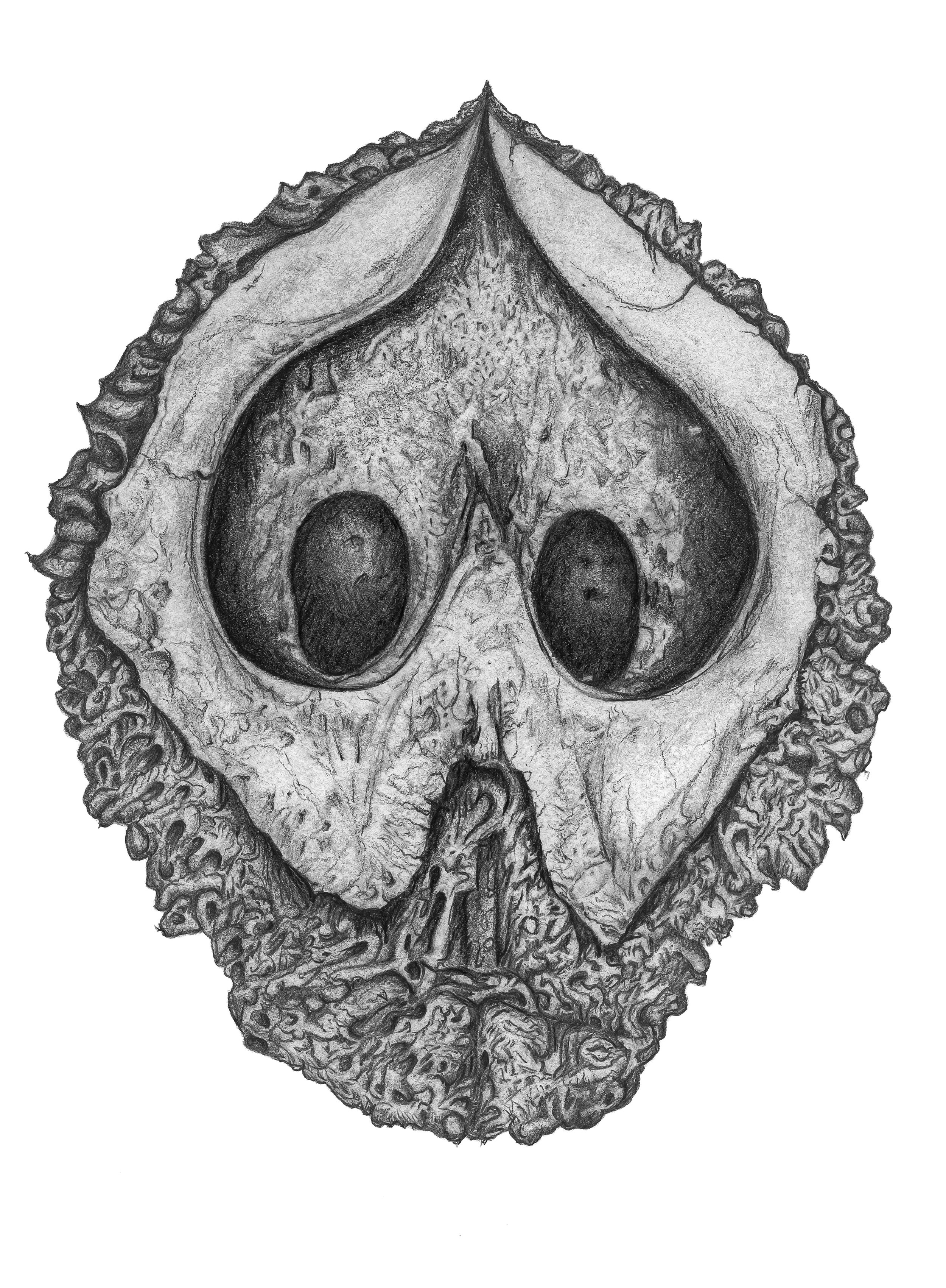 Specimen 5
