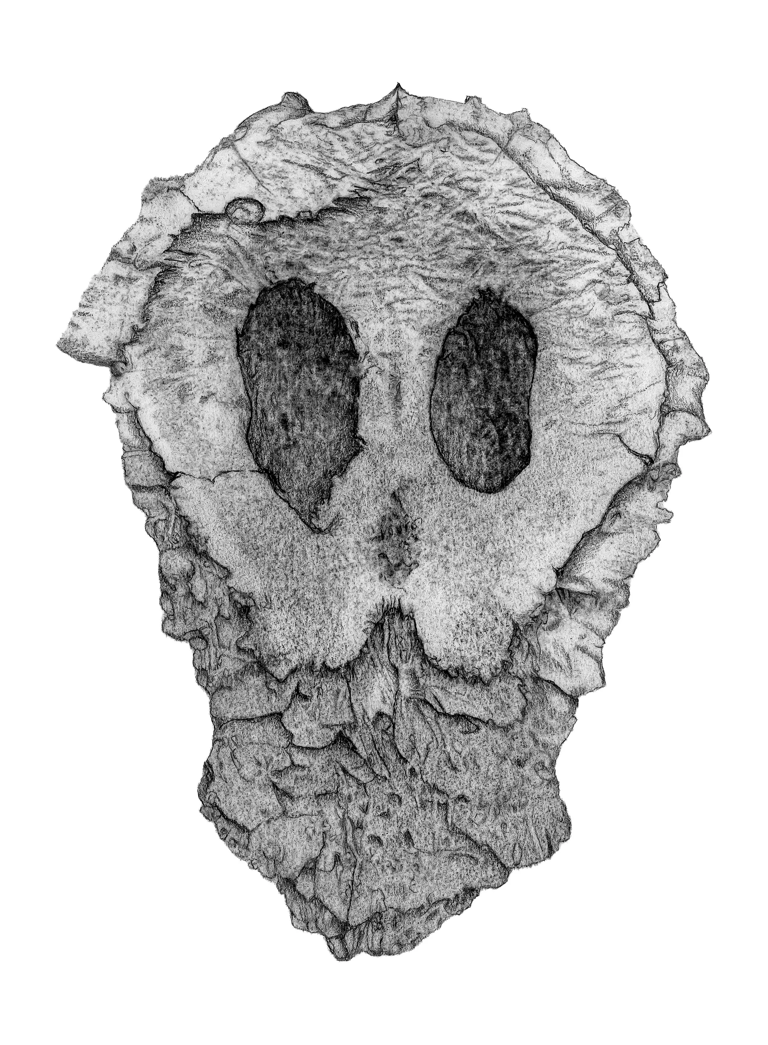 Specimen 6