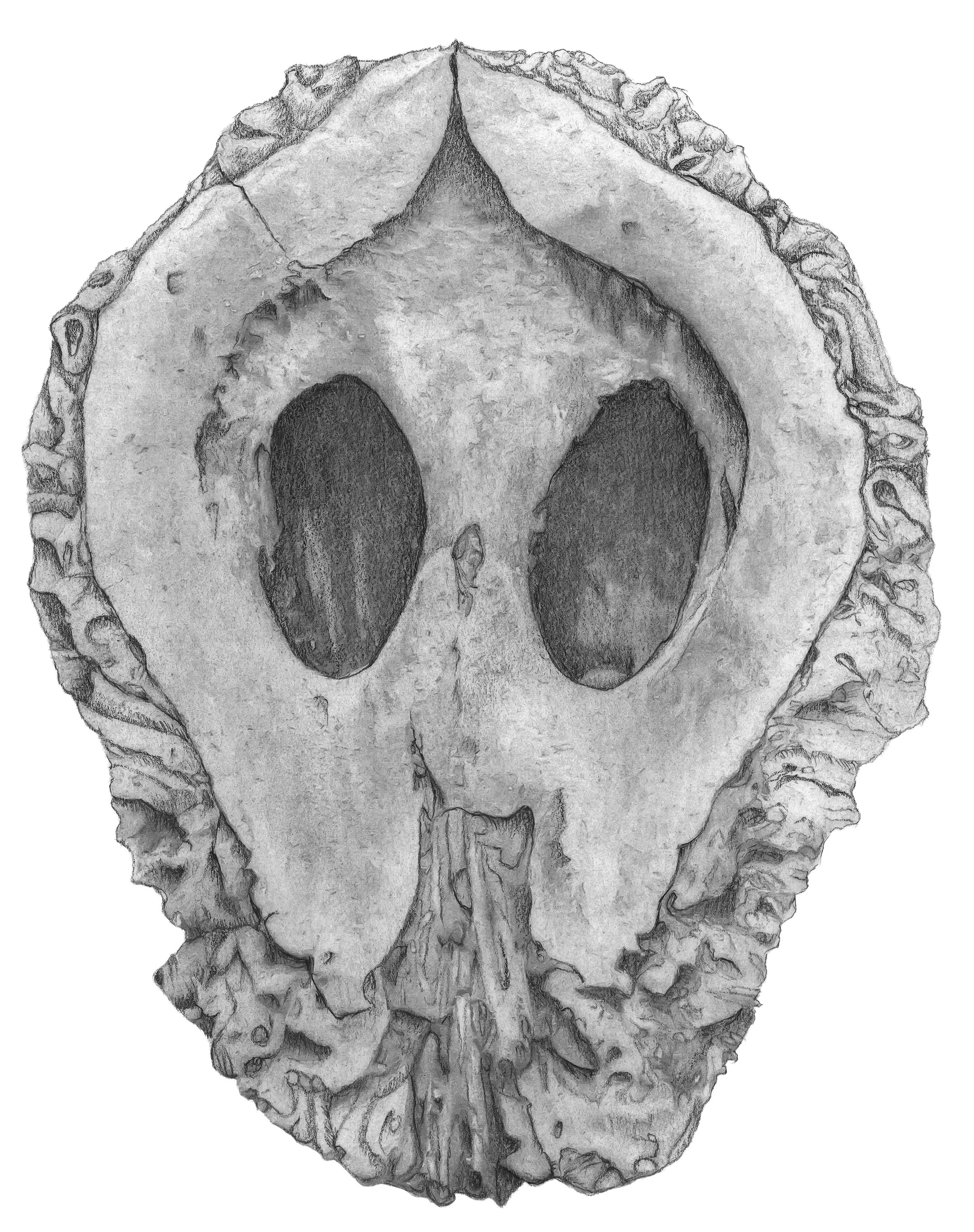 Specimen 4