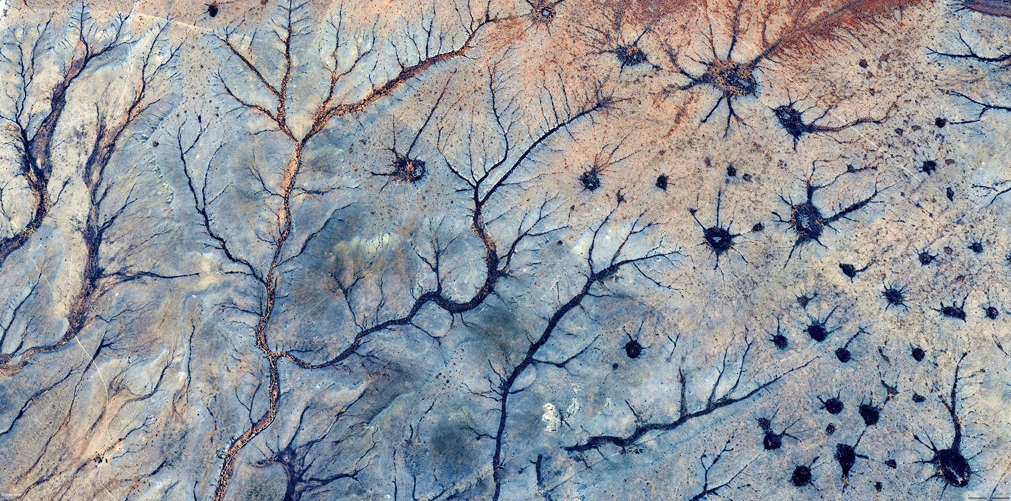 Cajal and Haeckel Collision
