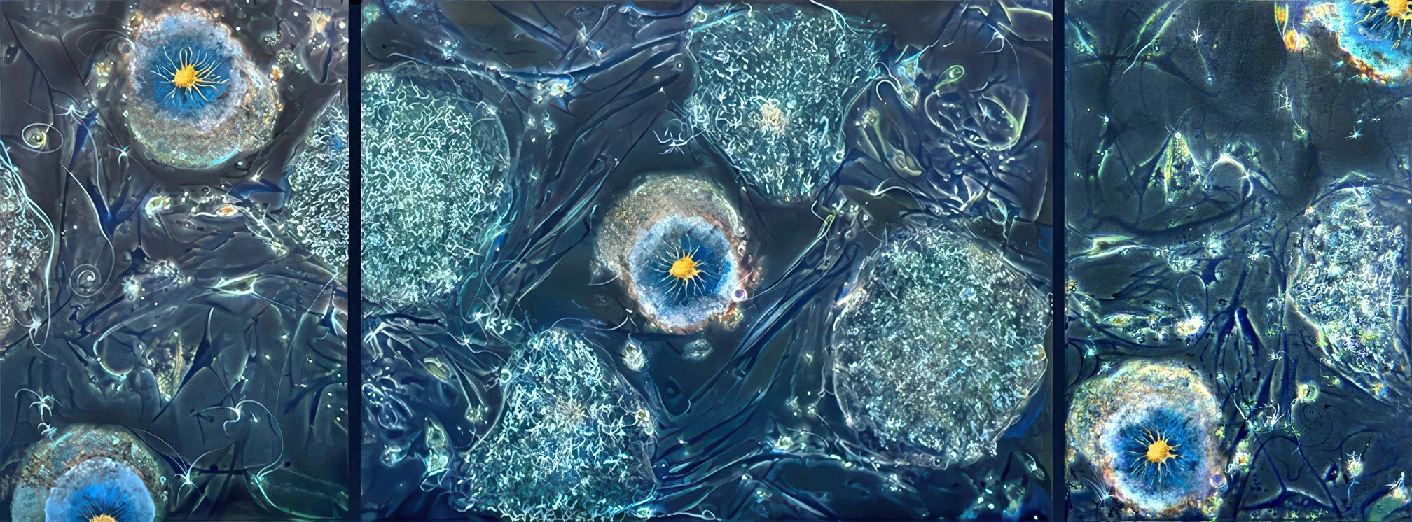 Garden of Delight I - a.k.a Human embryonic stem cells
