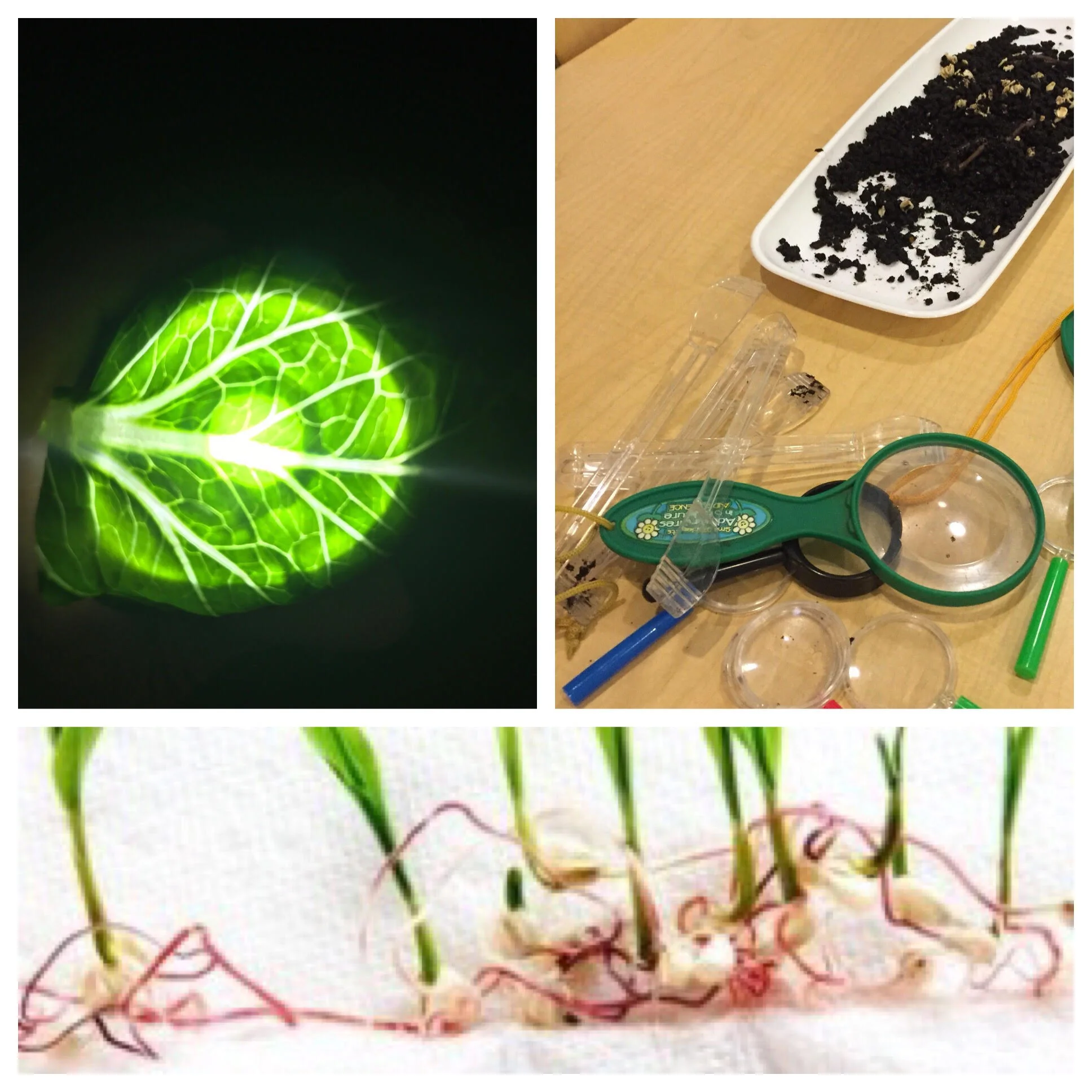 3 Easy Pre-K Science Hacks 