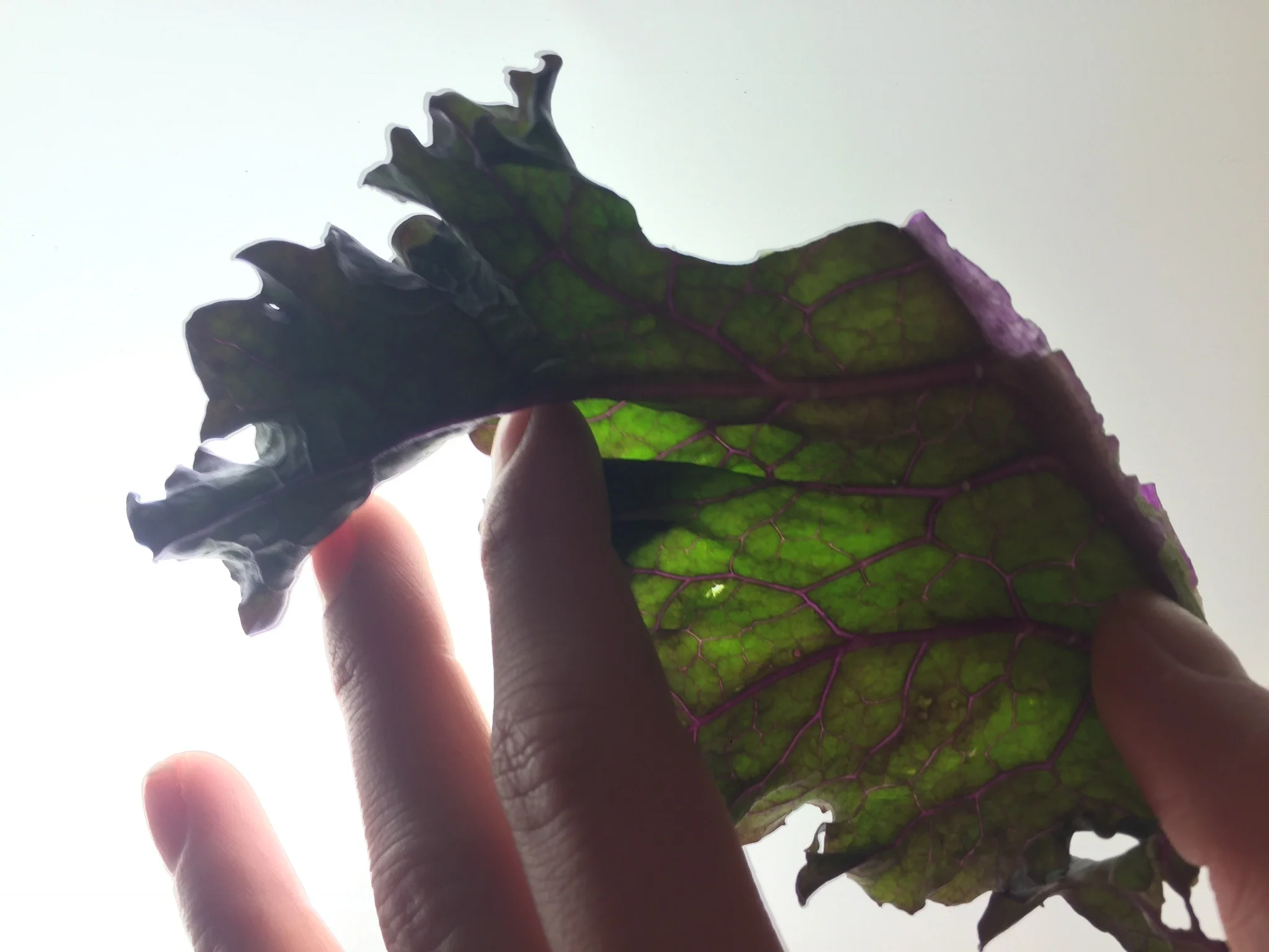 3 PRESCHOOL STEAM TIPS