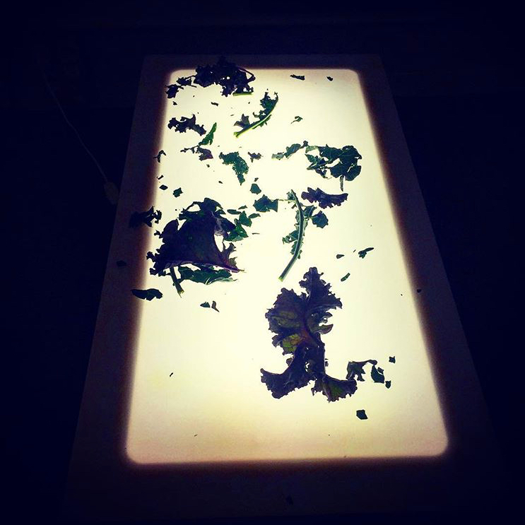 How to Teach STEAM to Toddlers 