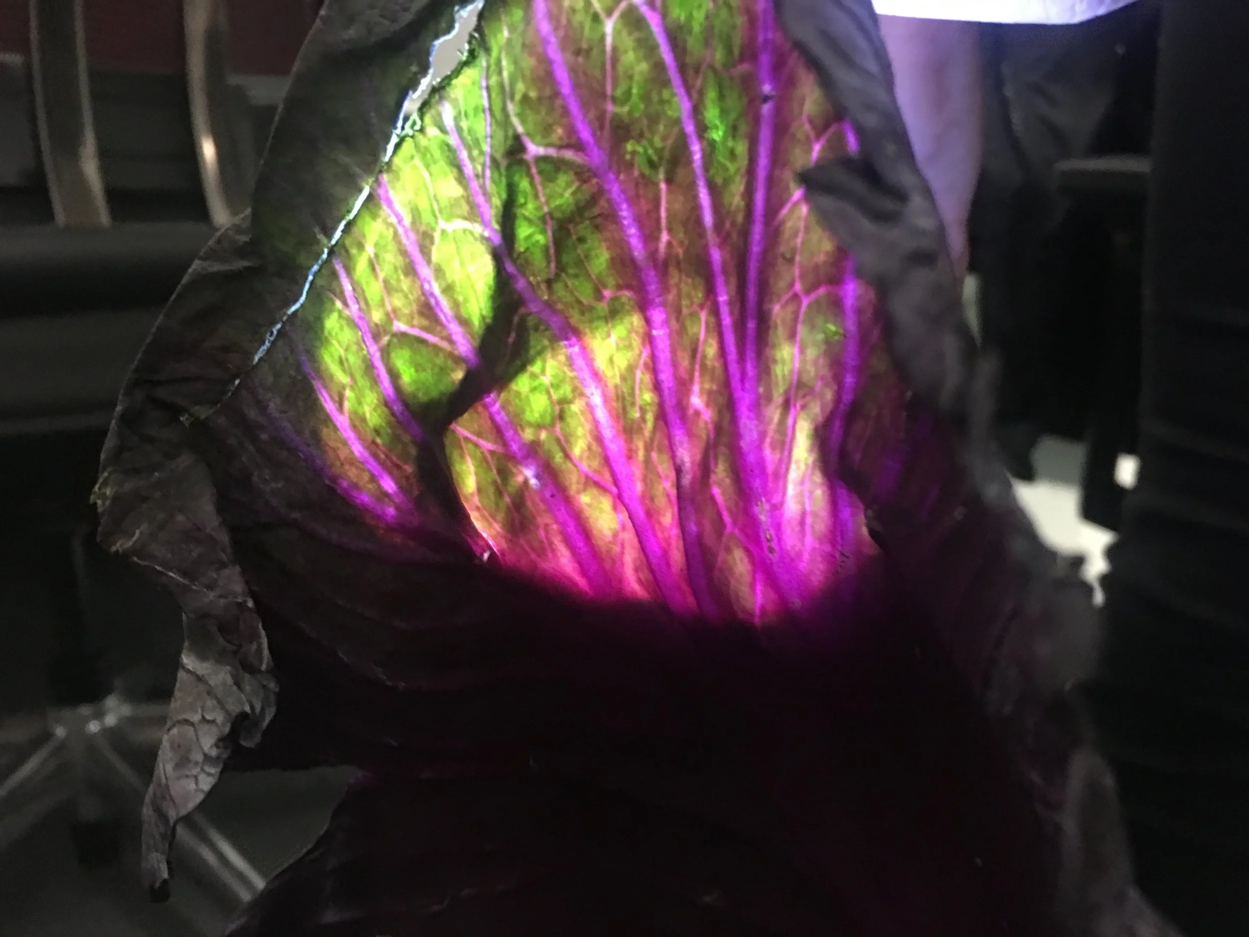 3 Ways to Use Flashlights for STEAM