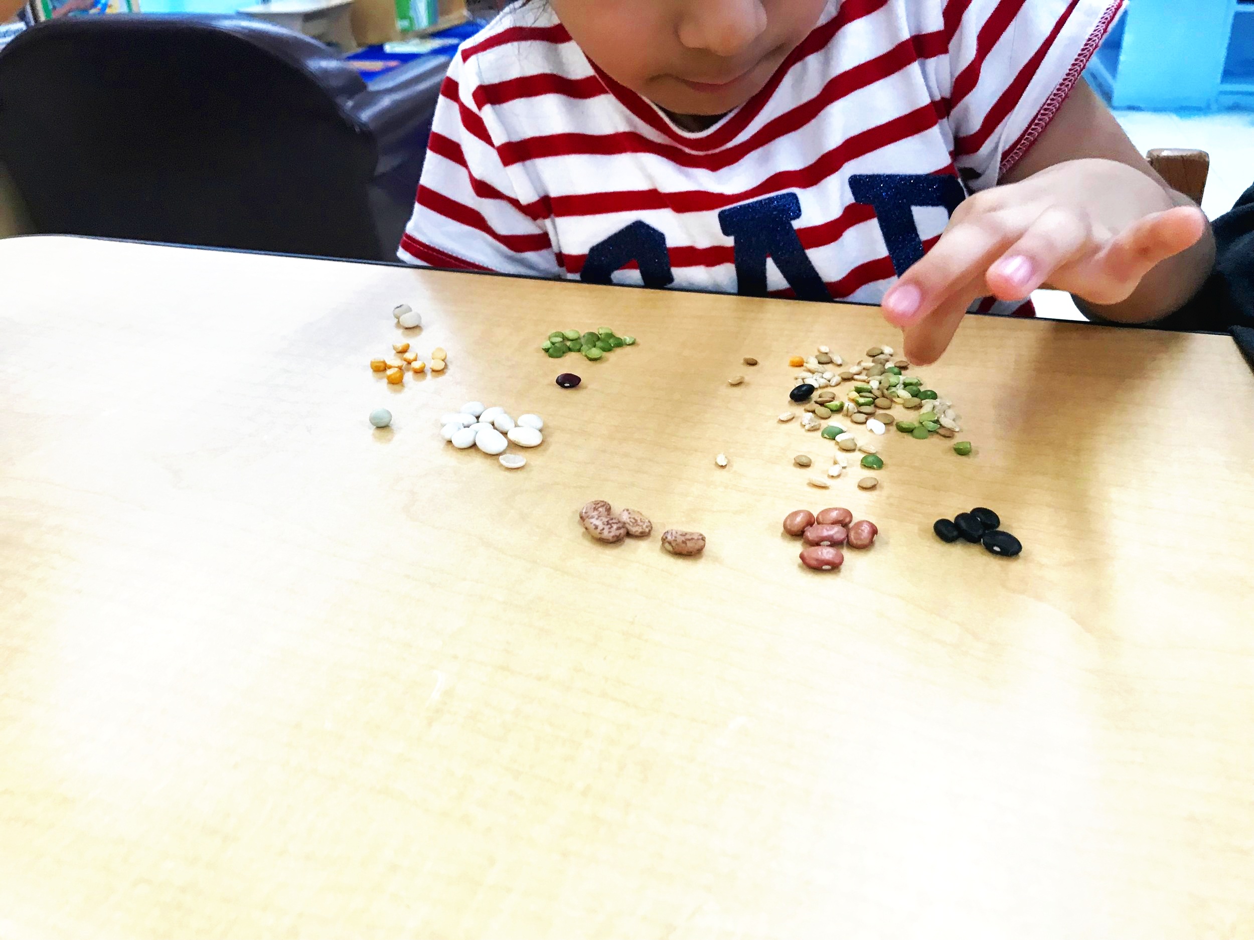 Graphing, Sorting and Estimation for Preschool + Kindergarten